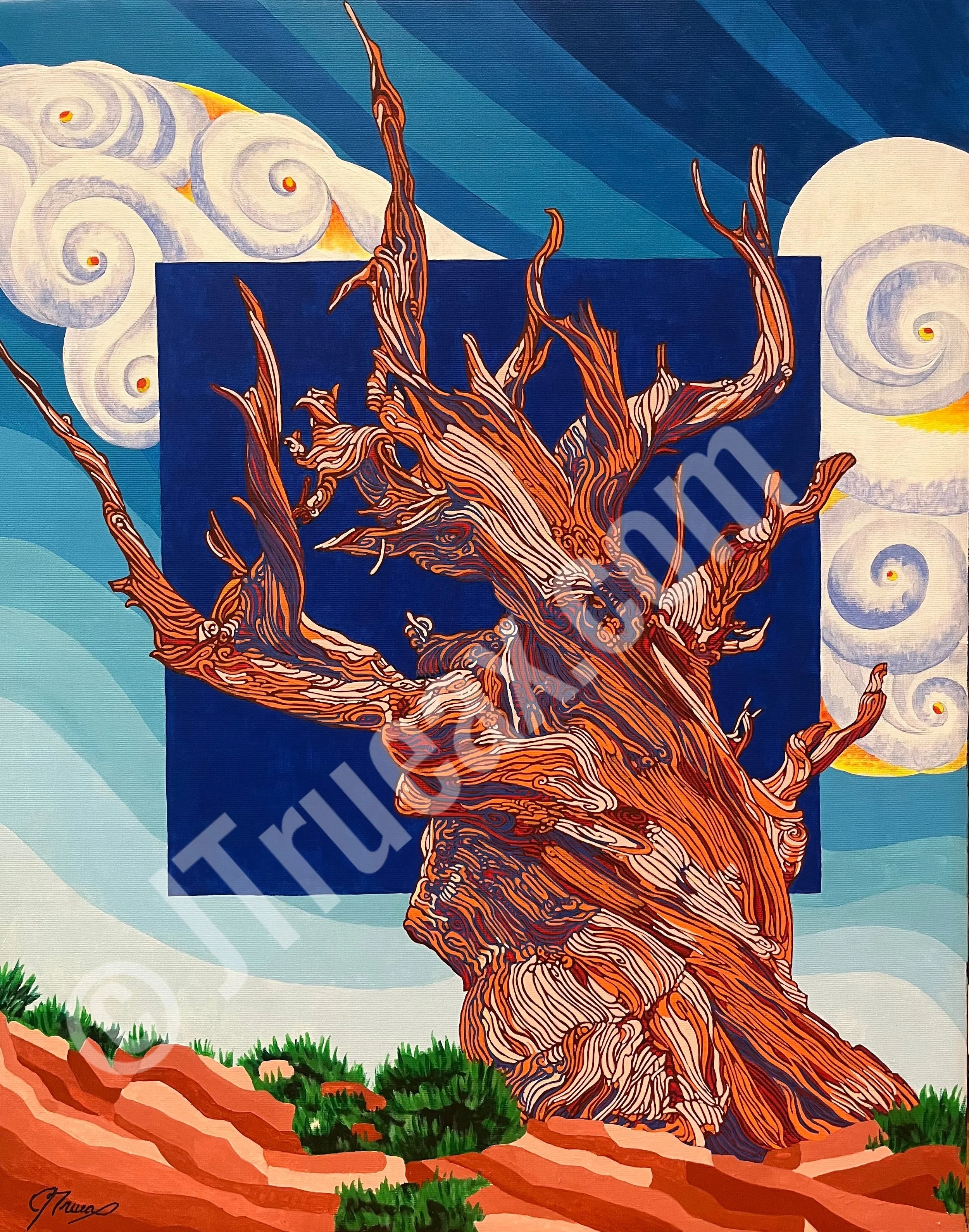   Methuselah   18 x 22” Acrylic on Canvas I Framed  $1,200.00 + Shipping &amp; Handling 