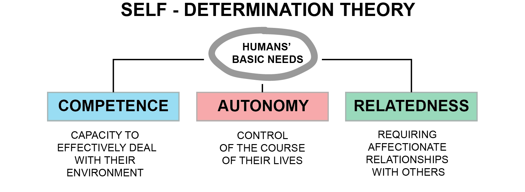   Example of Self Determination Theory   