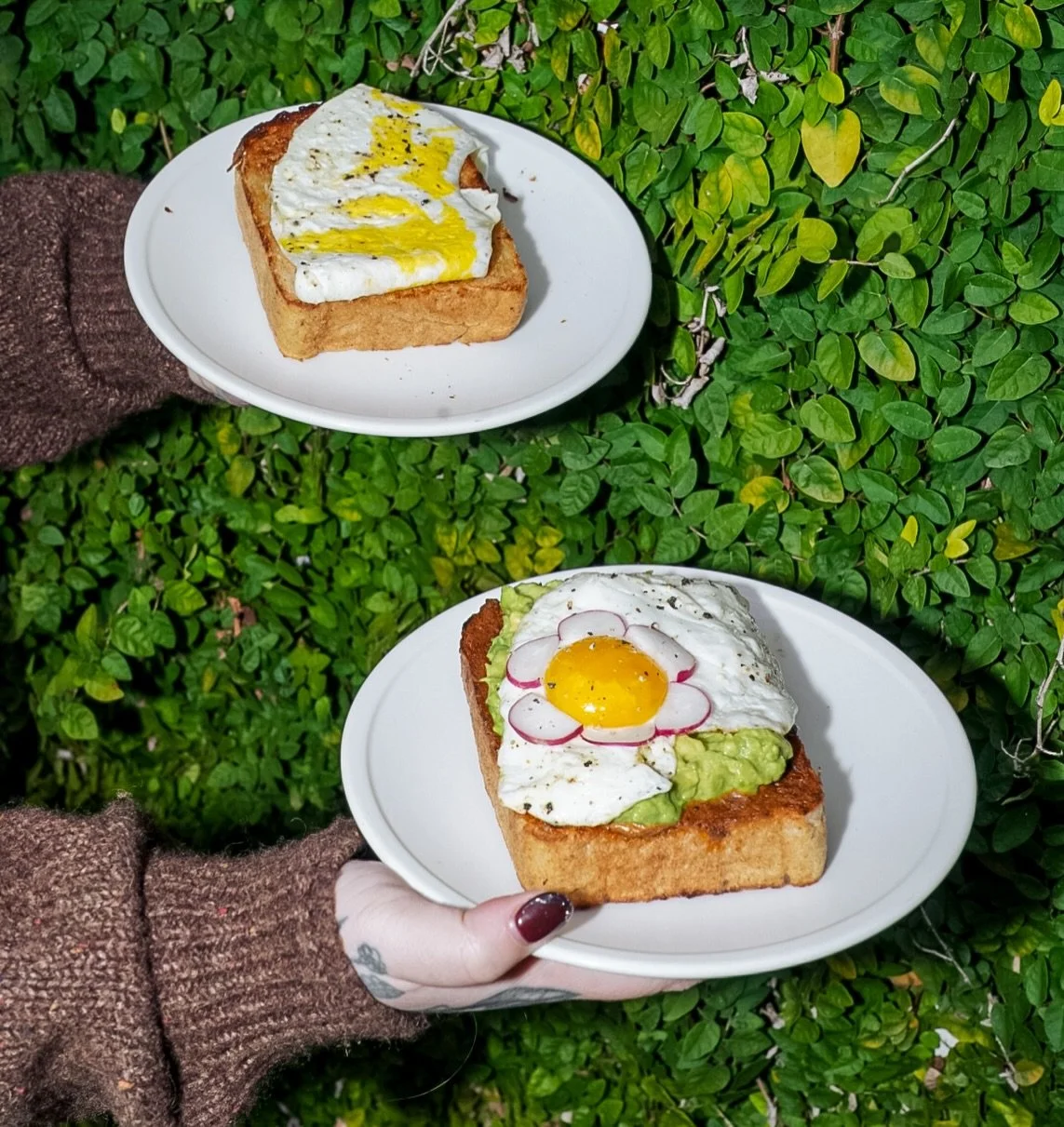 We&rsquo;ve got a PRICE DROP 😎

If you remember last year, egg and avocado prices went through a dramatic spike nationwide. That surge pushed costs up across grocery shelves, restaurants, and yes, right here at the shop. We made adjustments to keep 