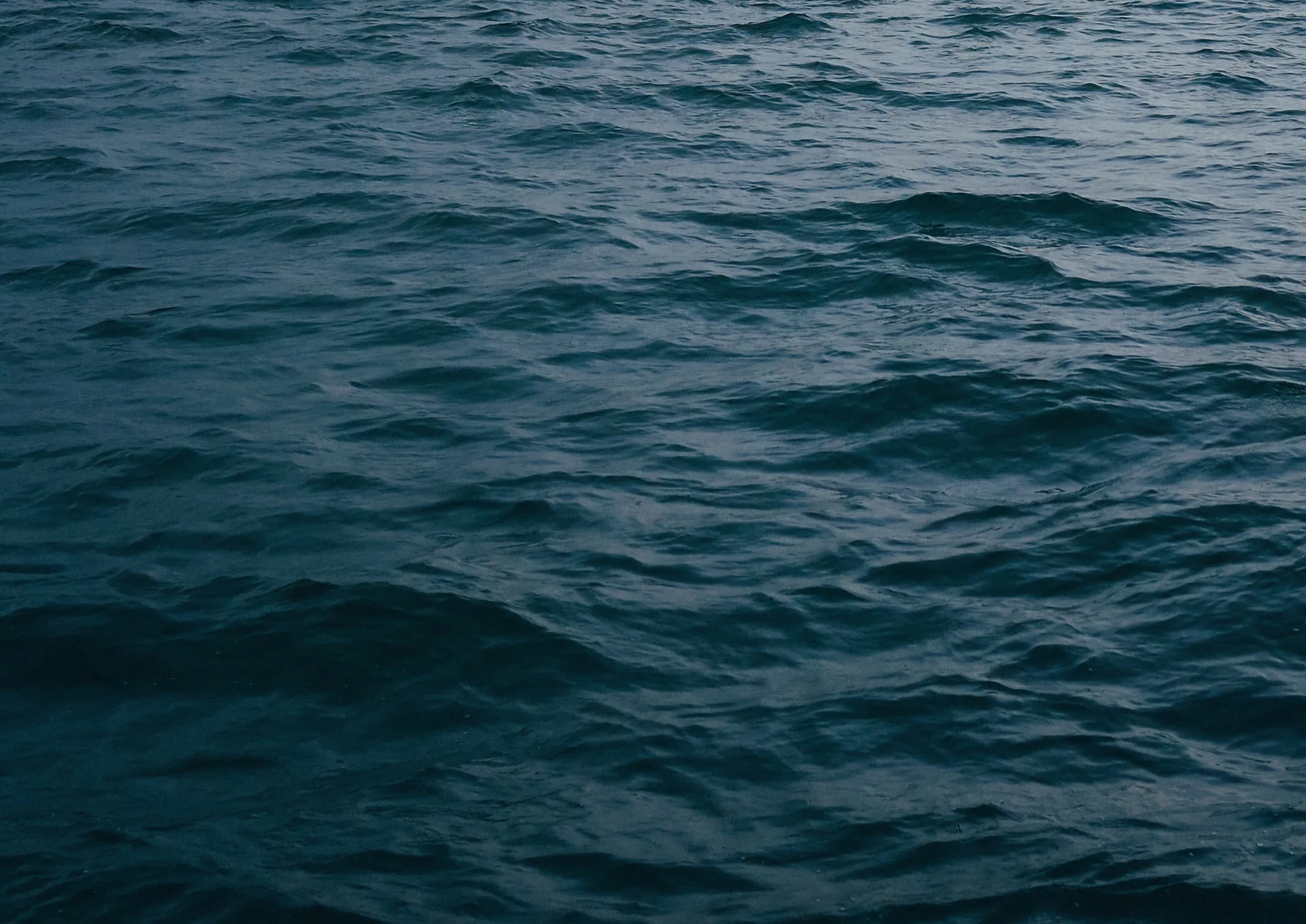 sea.jpg