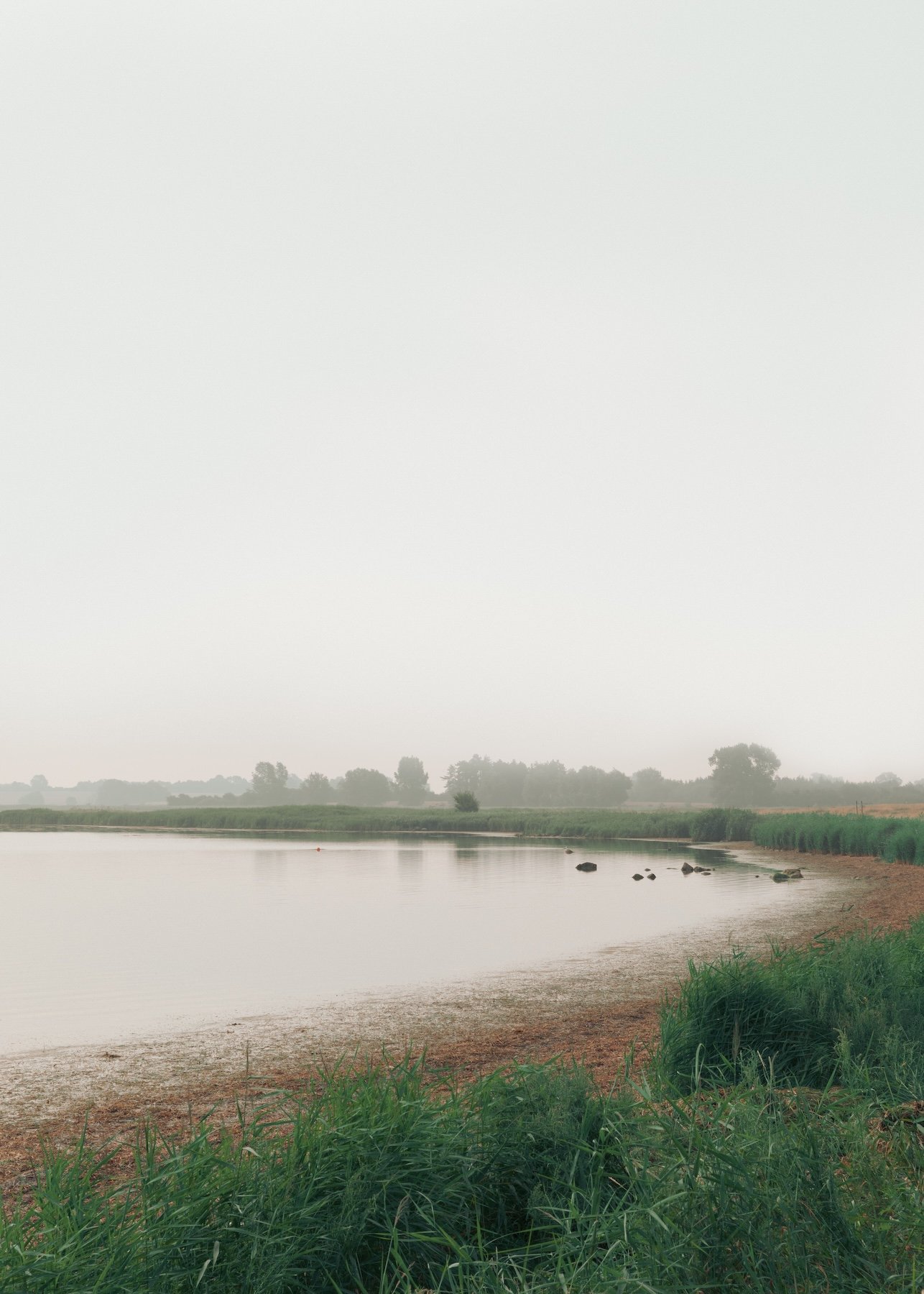 Sould_Eelgrass_at the sea2.jpg