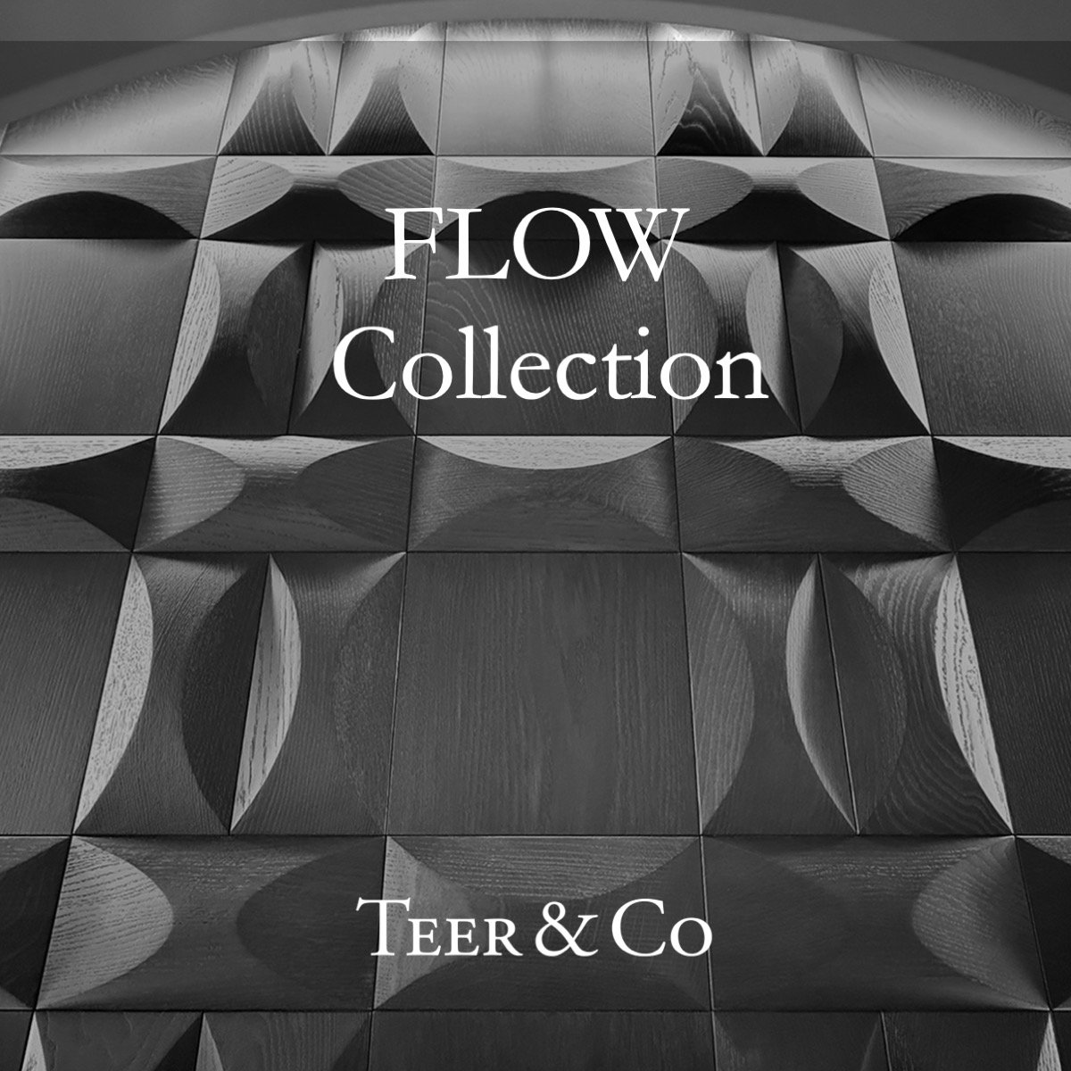 FLOW Slide 1.jpeg