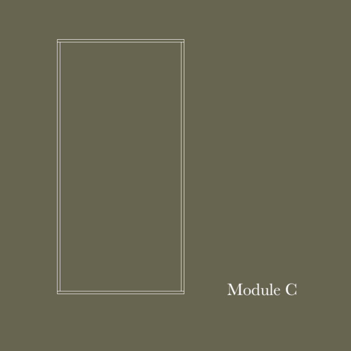Module C.png