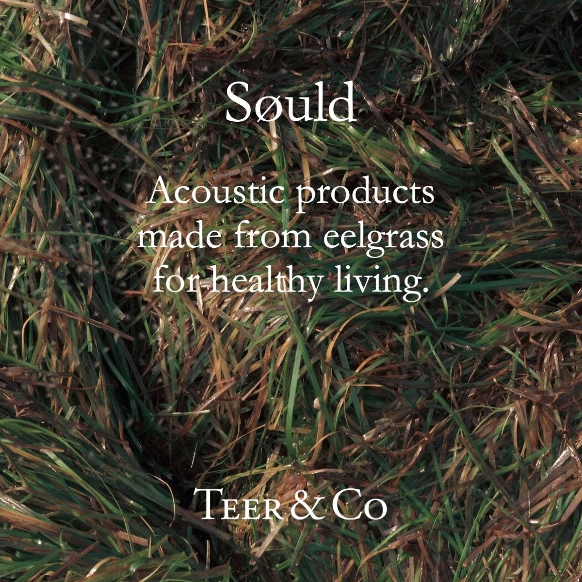 Acoustic products made from eelgrass