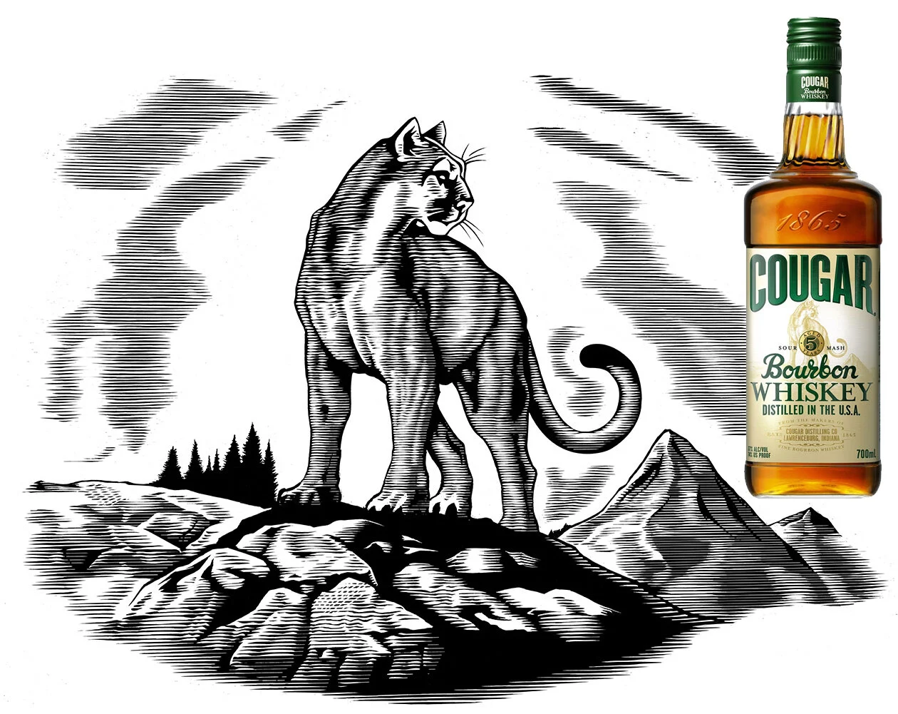 cougar final background copy 2.jpg