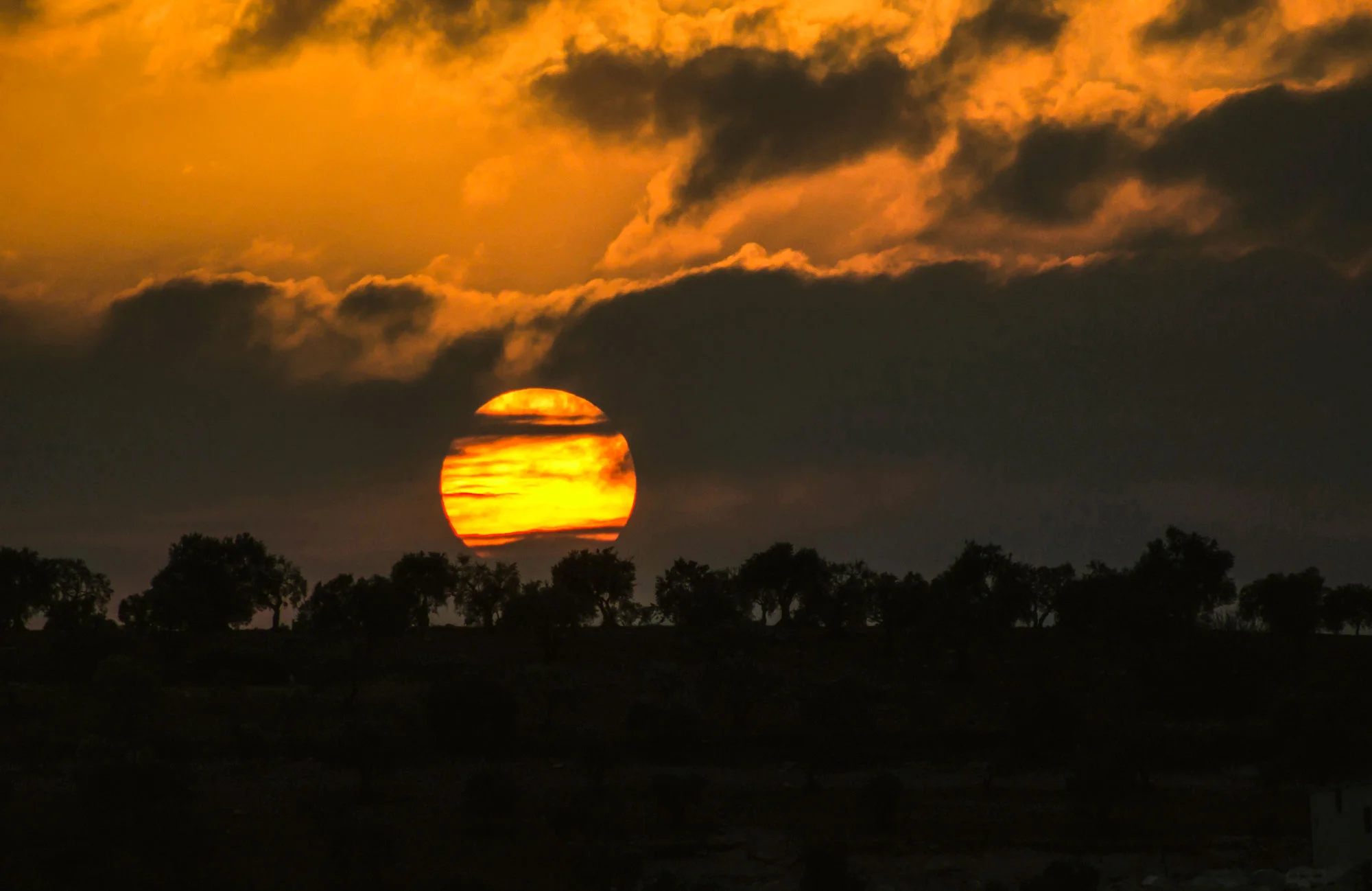 SP_samer-daboul-603050-unsplash-5891 x 3823-LR-Jonas.jpg