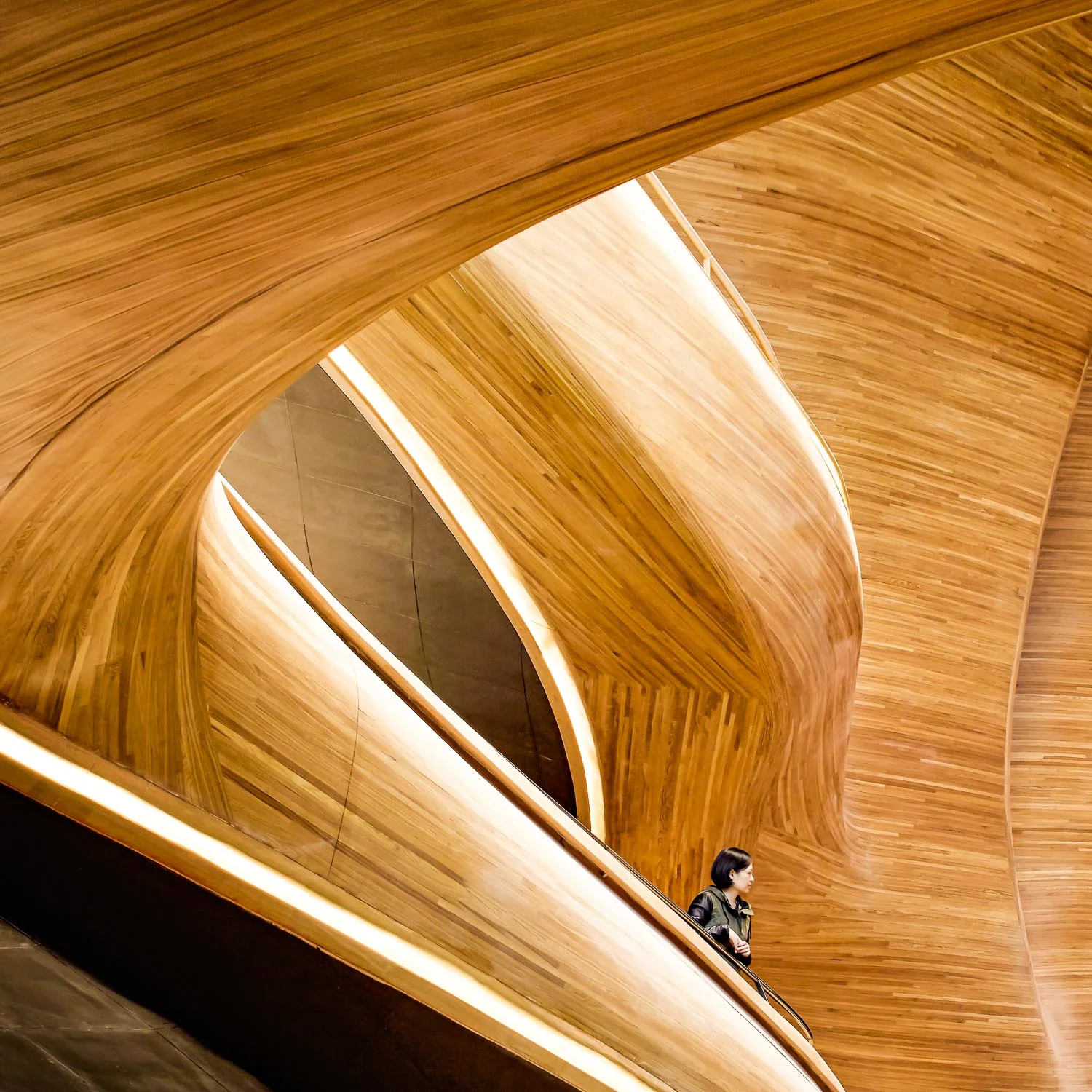 Wie von Wind und Wasser geformt sollte das Opernhaus von Harbin sein, erzählen die Architekten des Büros MAD. Es soll sich nahtlos in die Natur und die Topografie einfügen und will eine Transfusion lokaler Identität, Kunst und Kultur sein. Foto: Hufton + Crow