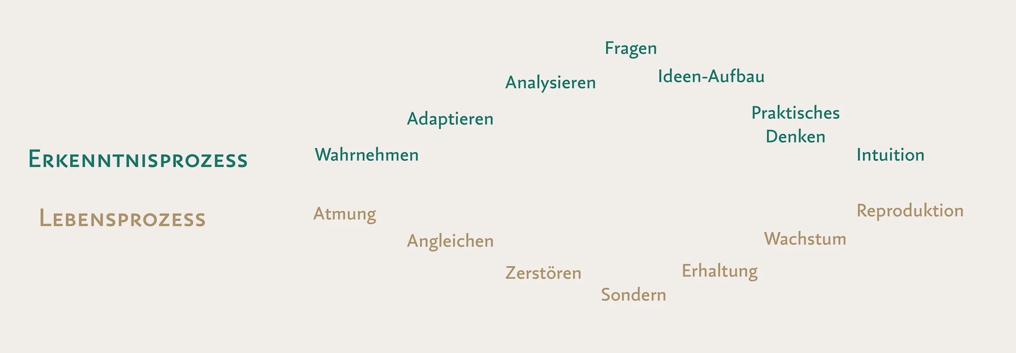 ASP_Schaubild1_G45_4276 x 1488.jpg