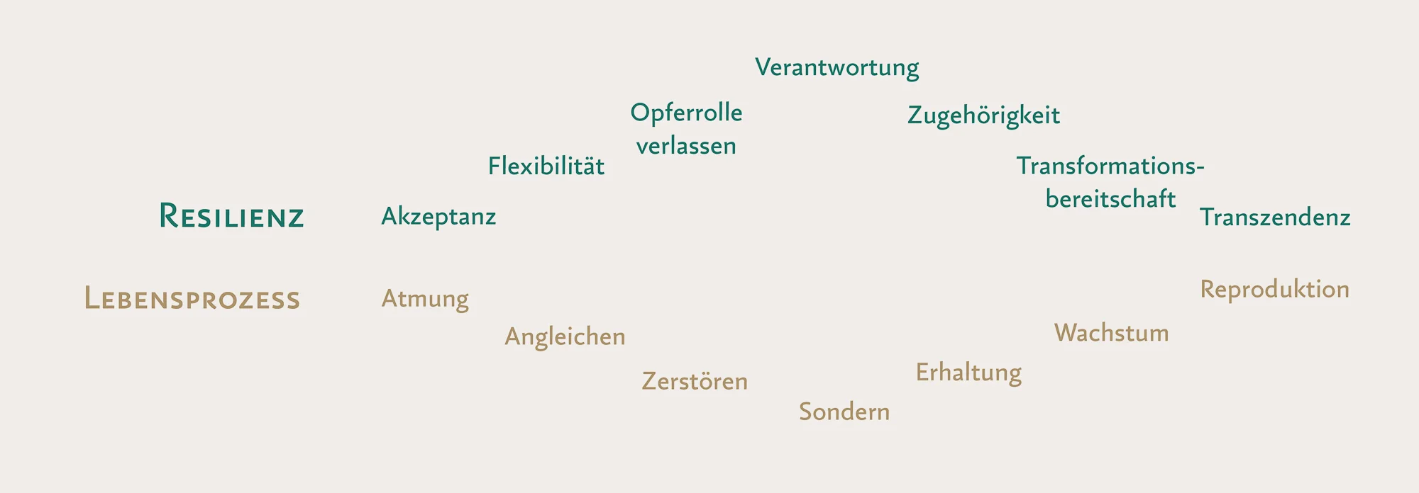 BSP_Schaubild2_G45_4276 x 1488.jpg