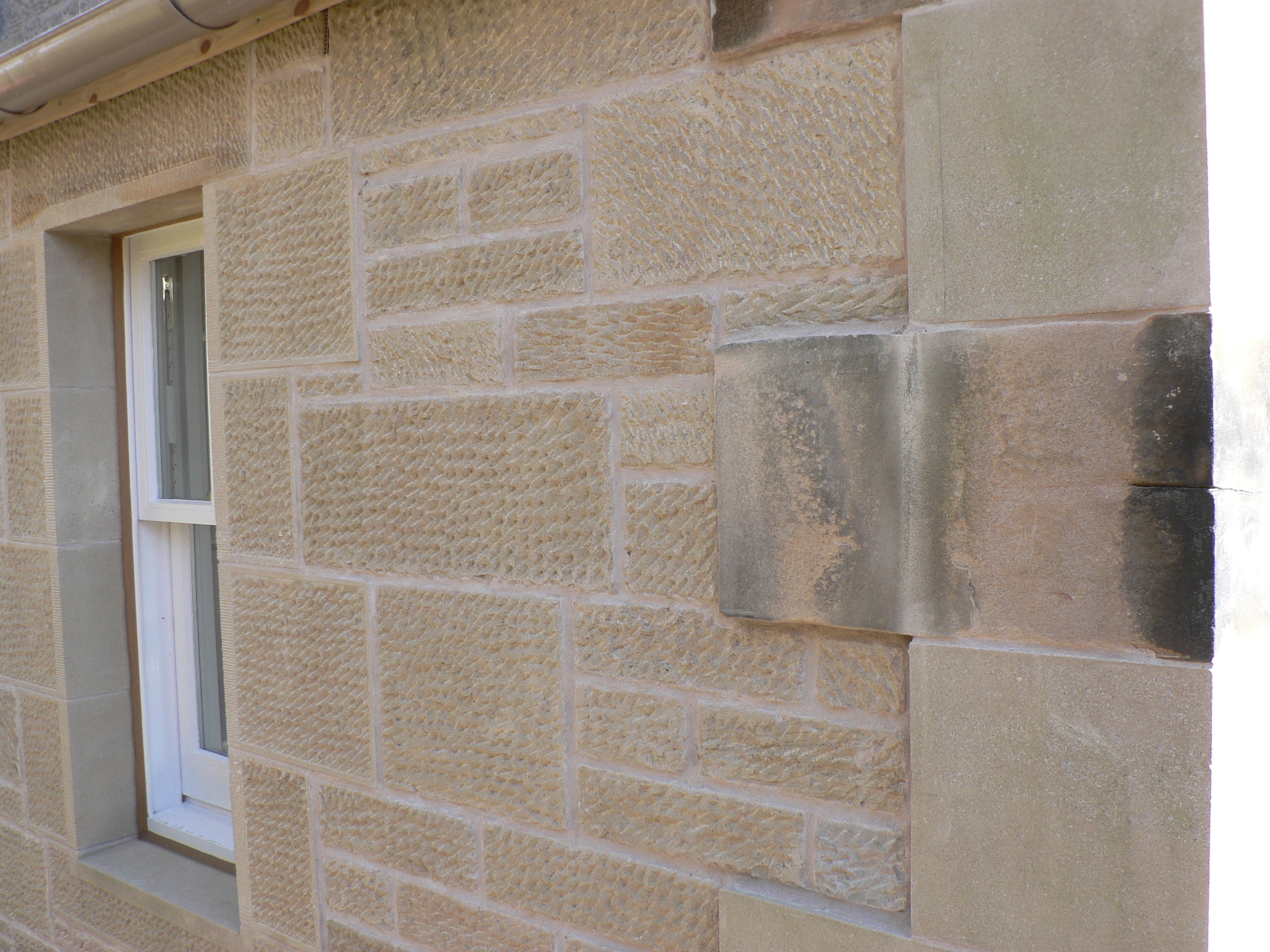 lime pointing 1.jpg