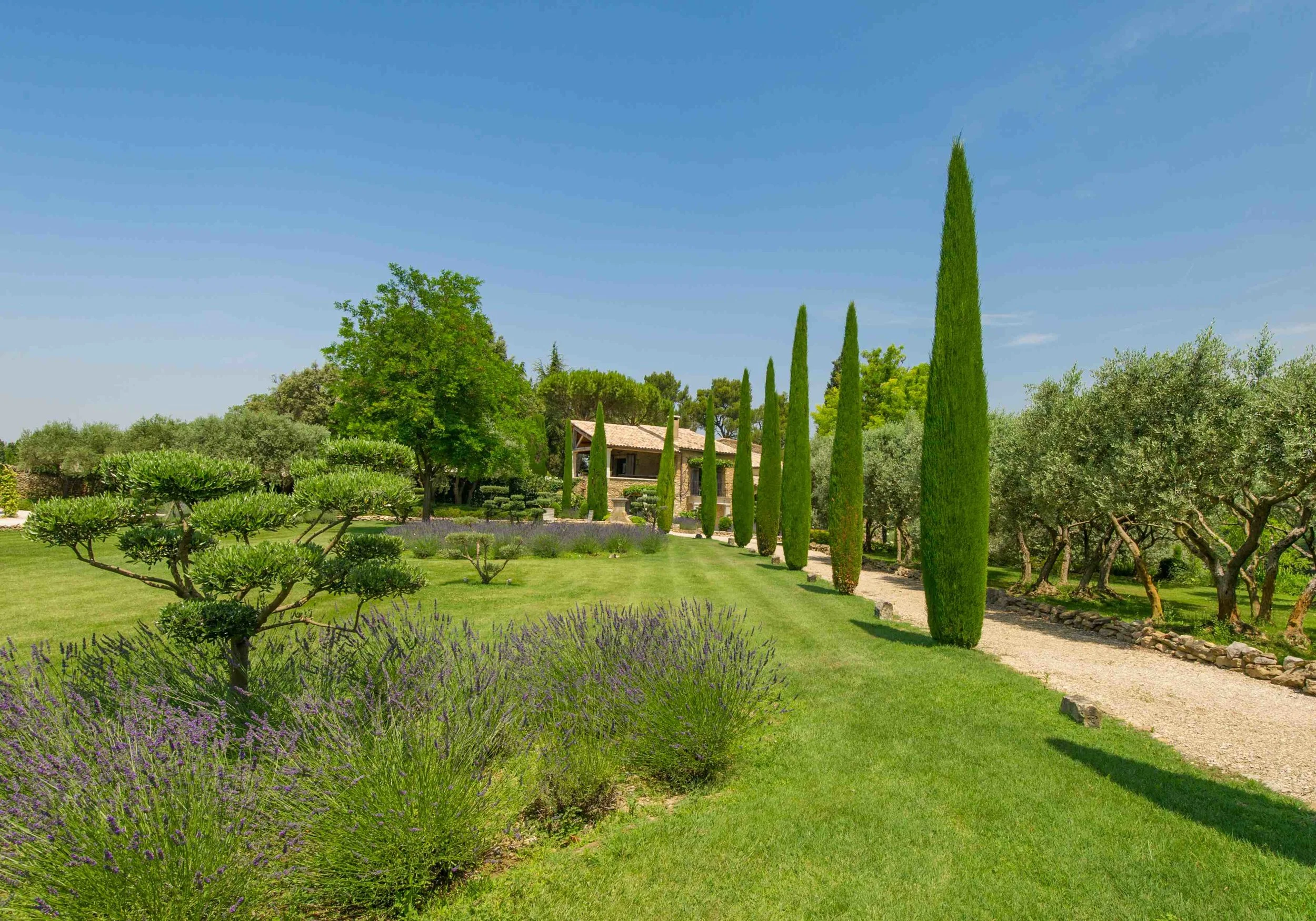 Welcome DSC_6023-modified.jpg