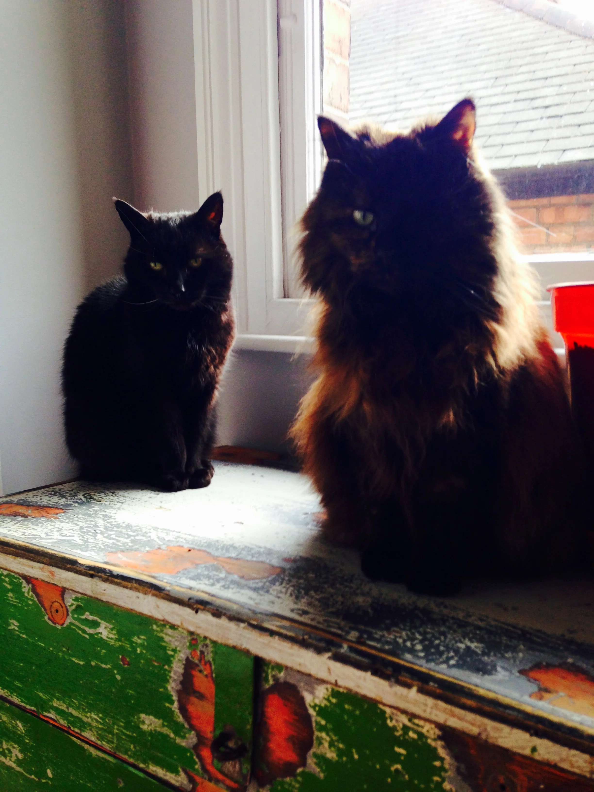 Oscar & Rosie