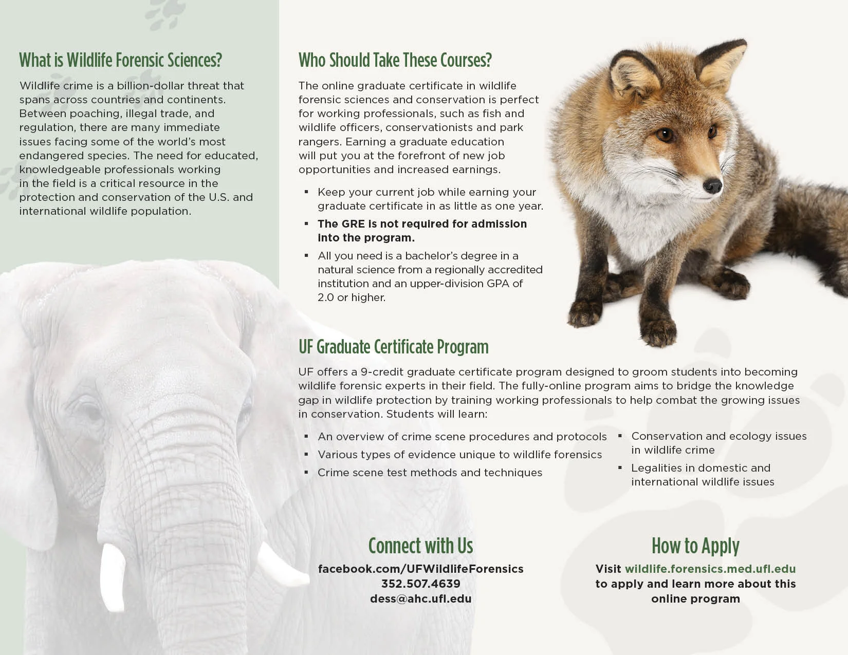 University of Florida Wildlife Forensics: Trifold Brochure
