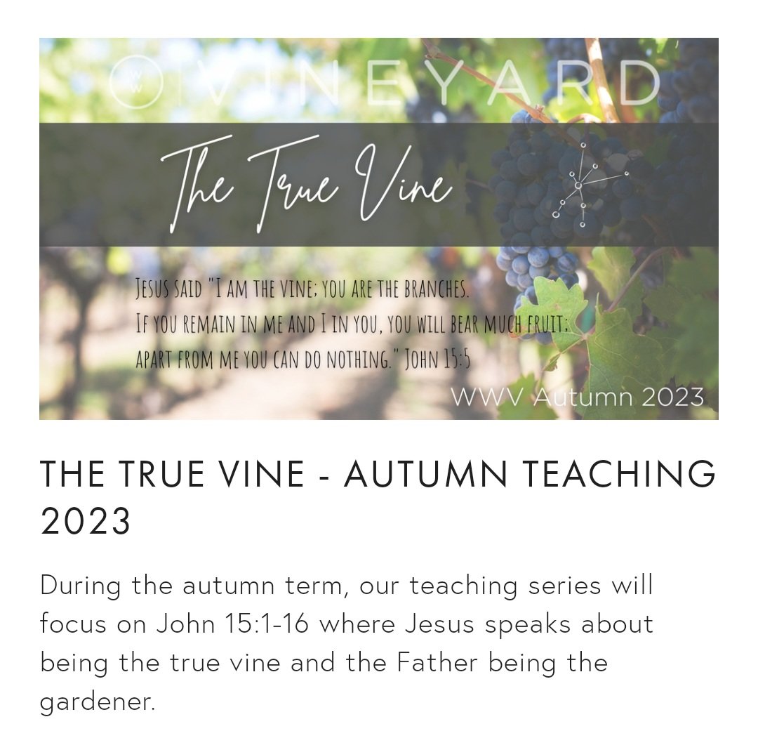 True Vine Teaching Autumn 2023.jpg