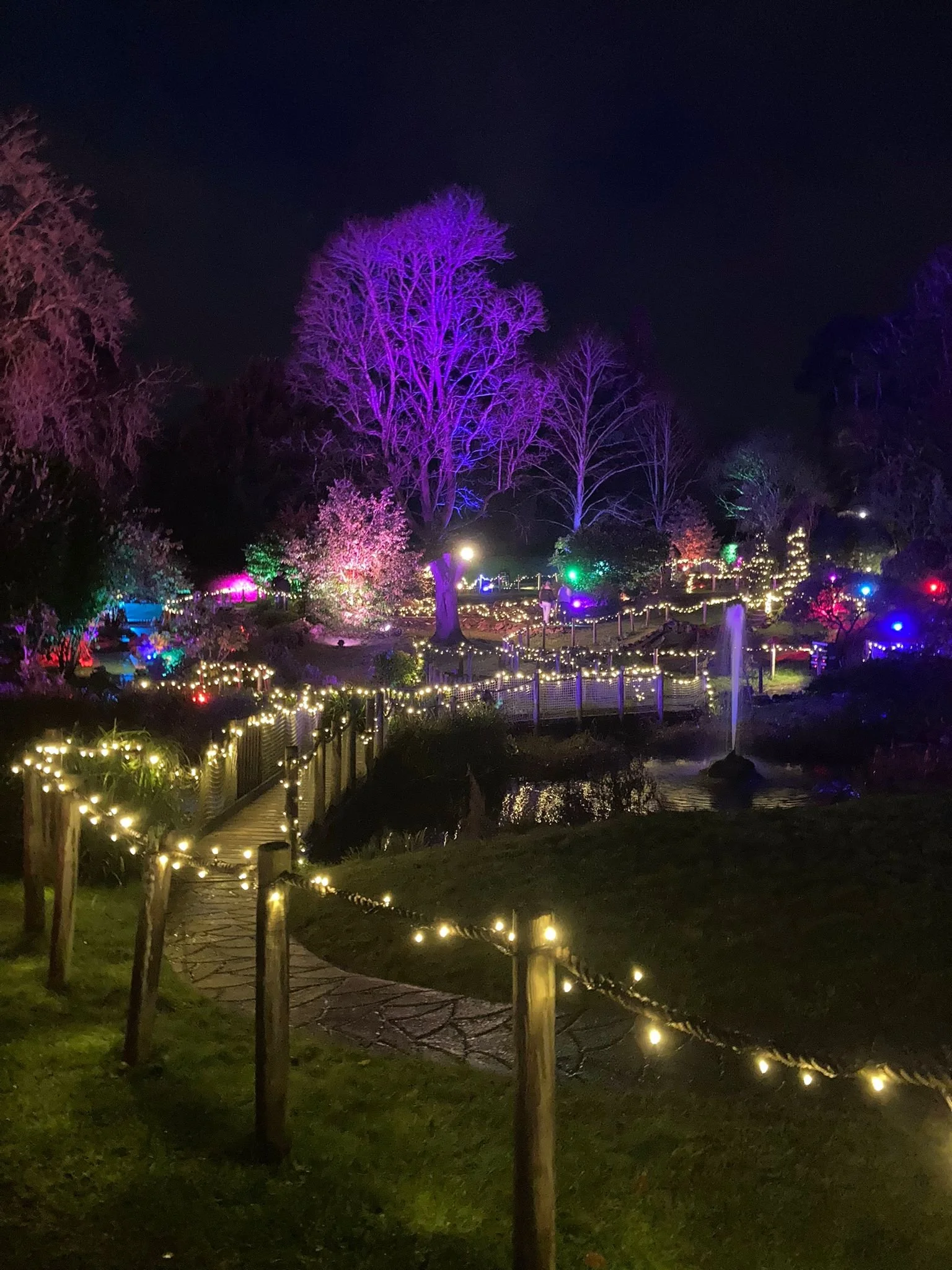 Ignition Christmas Social December 2023
