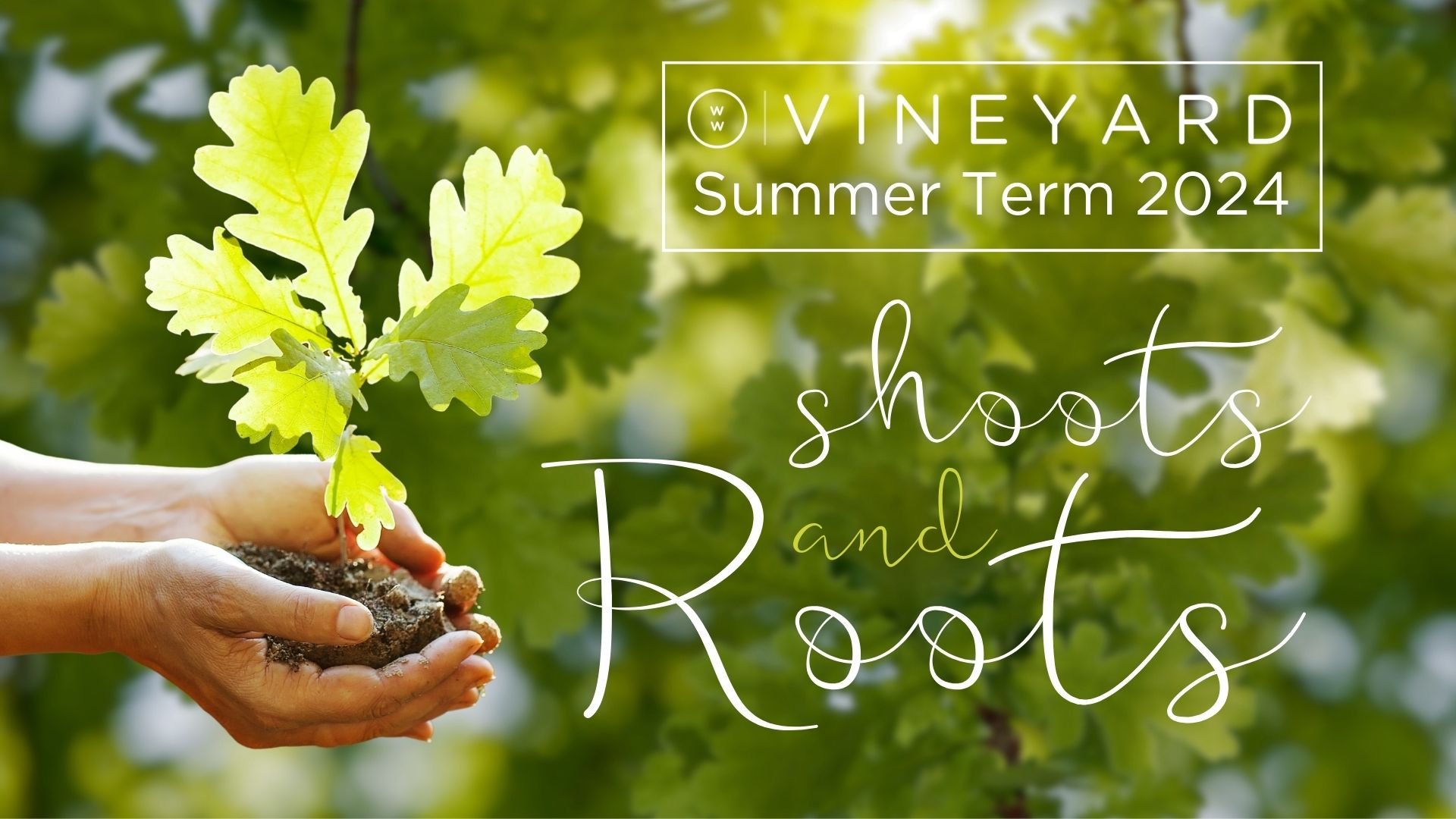 Roots & Shoots Summer 24.jpg