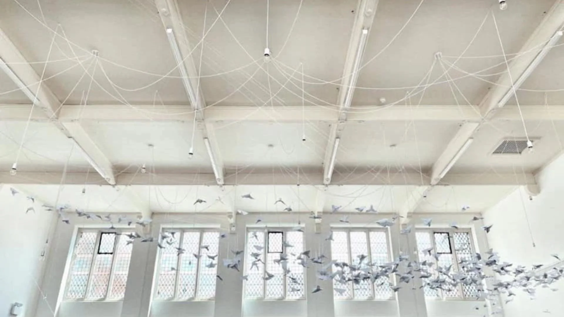 Hope Takes Flight 2021-2025