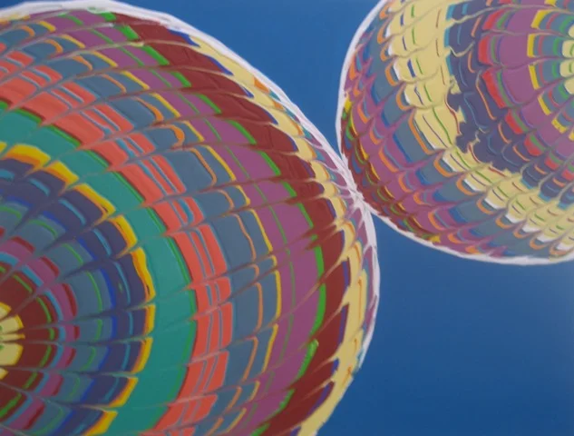 Microscopic 2008  36" x 48"  Acrylic on canvas SOLD