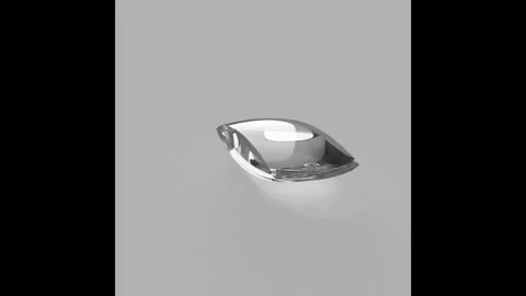 Lens.gif