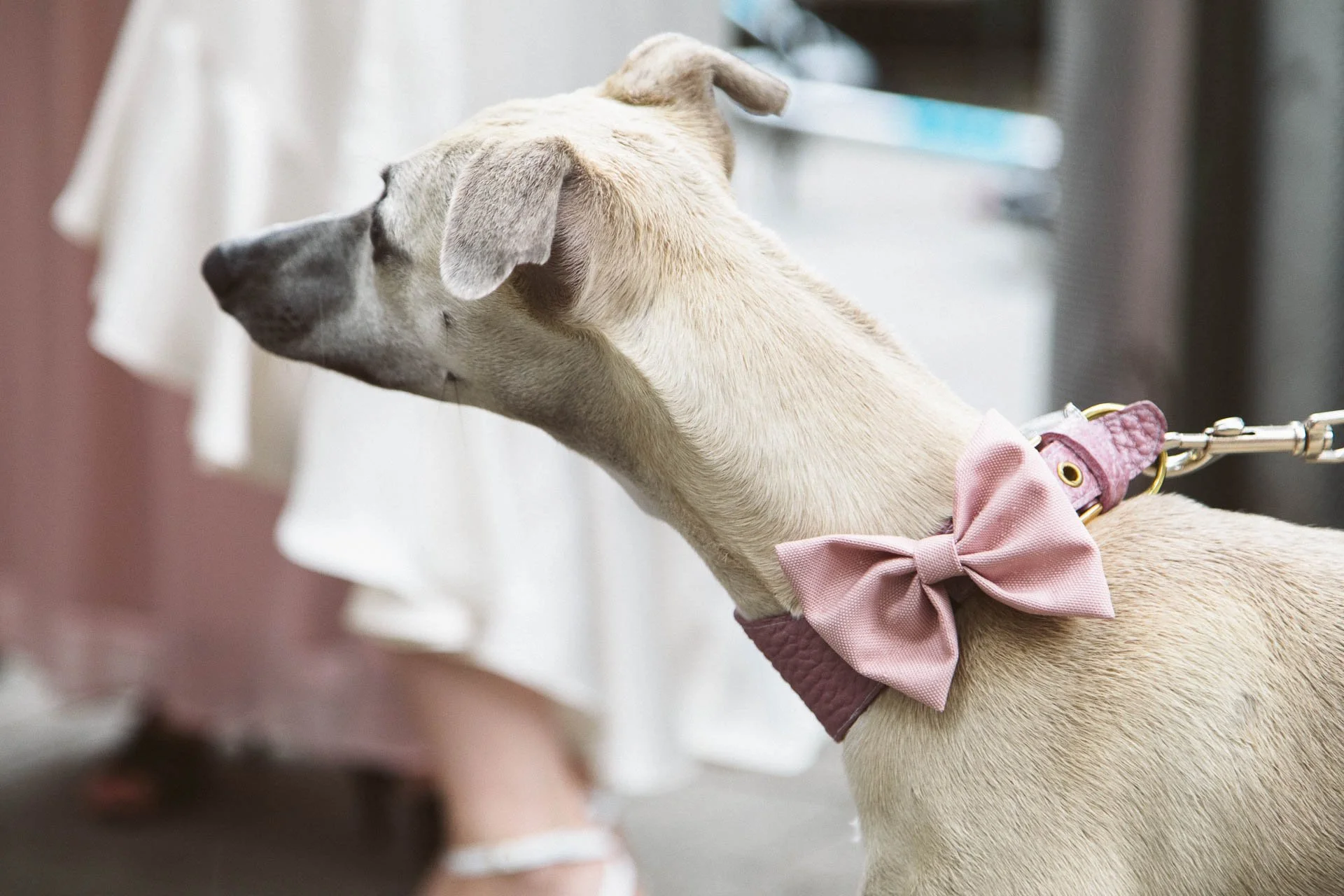©MitFedern&Posaunen_HochzeitR&B_web-0144.jpg