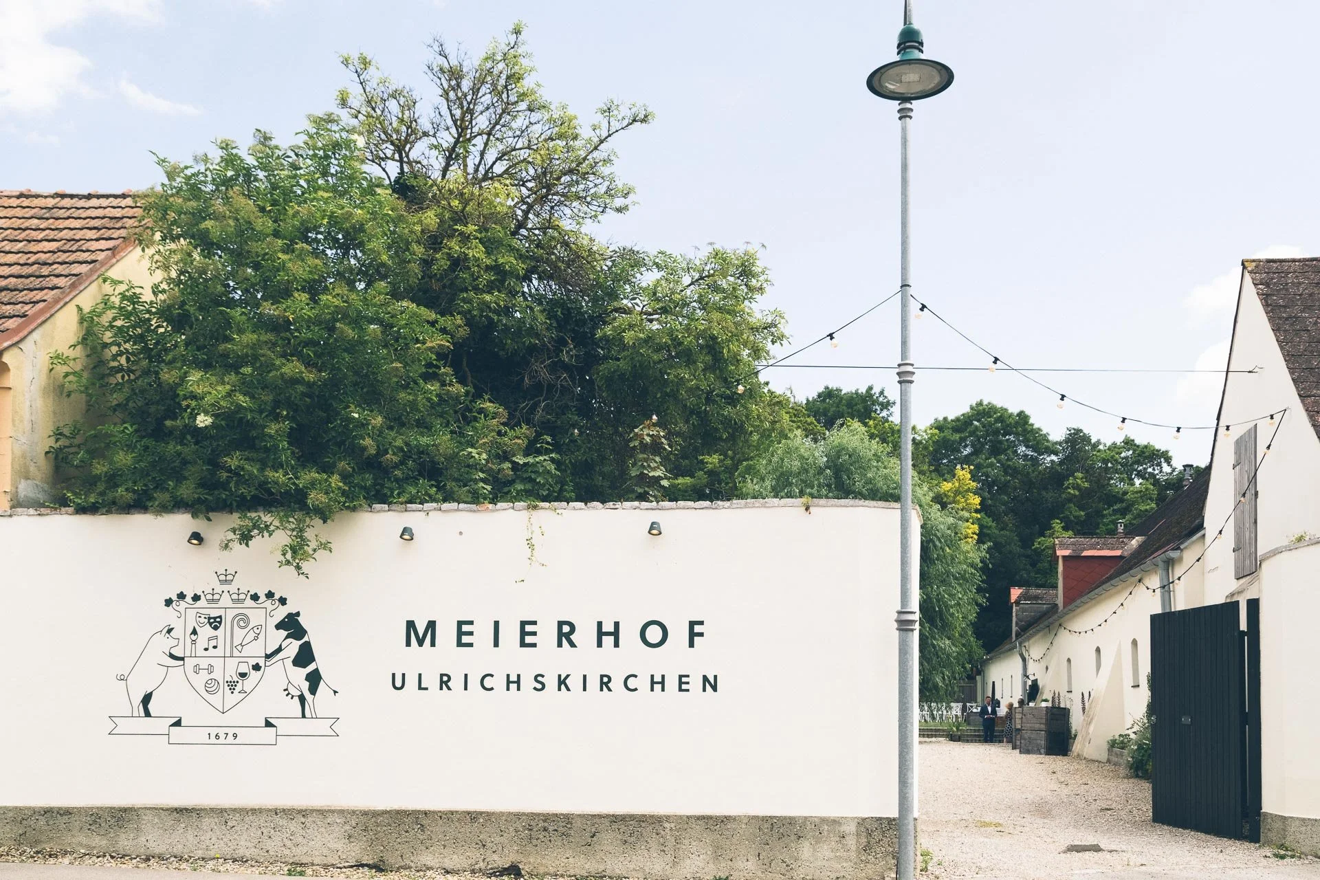 ©MitFedern&Posaunen_Hochzeitsfotos A&F_web-001.jpg