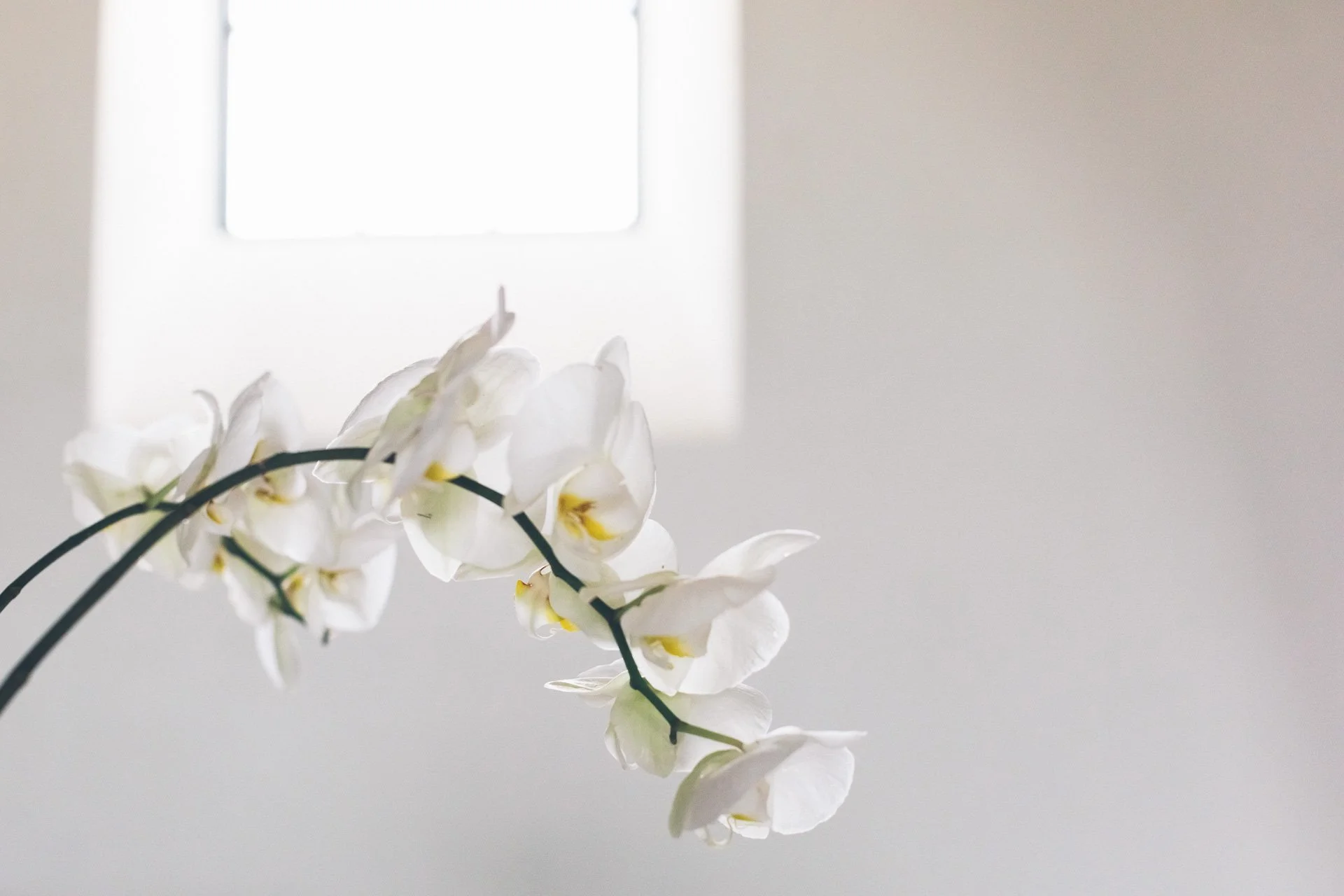 ©MitFedern&Posaunen_Hochzeitsfotos A&F_web-016.jpg