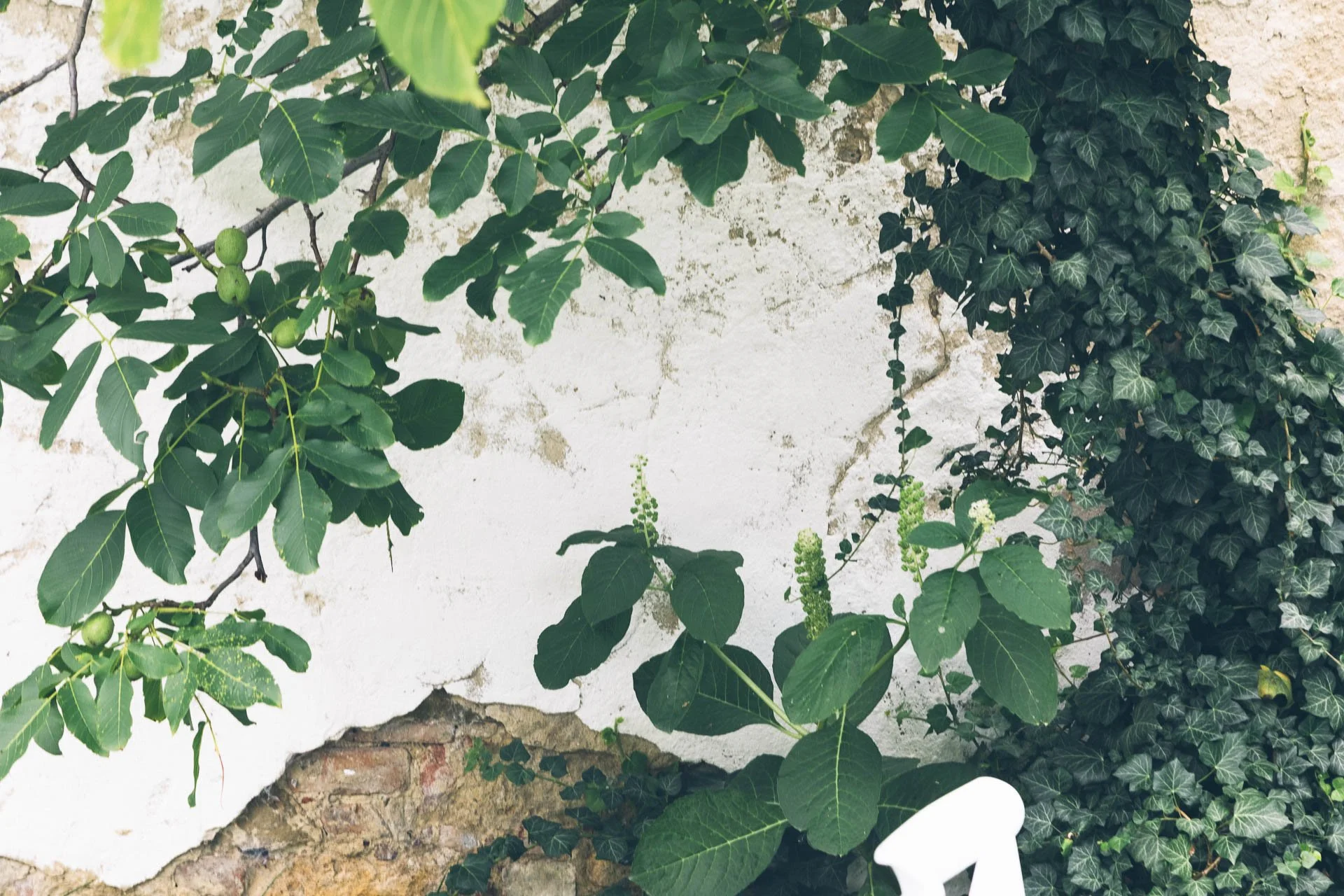 ©MitFedern&Posaunen_Hochzeitsfotos A&F_web-053.jpg