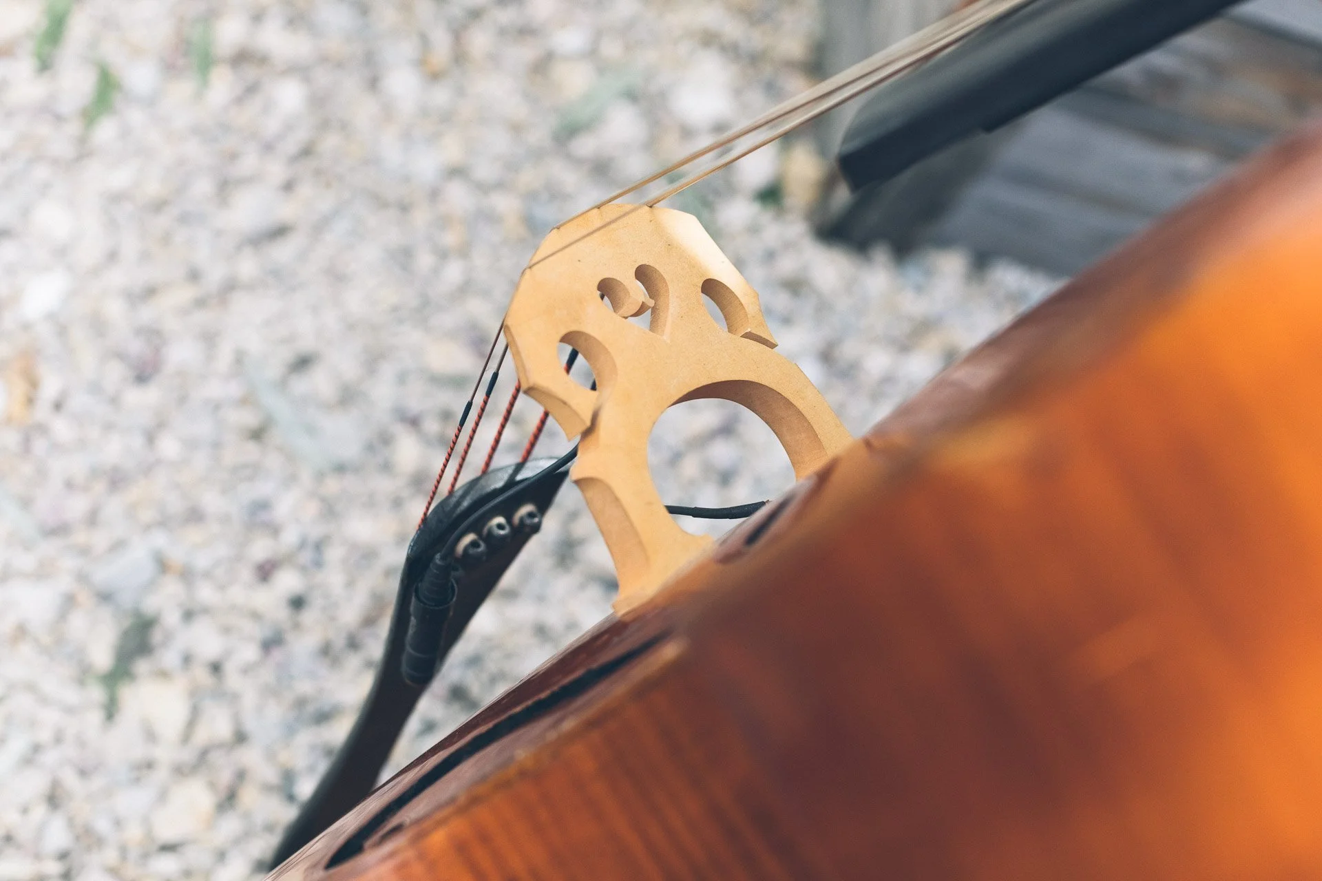 ©MitFedern&Posaunen_Hochzeitsfotos A&F_web-438.jpg