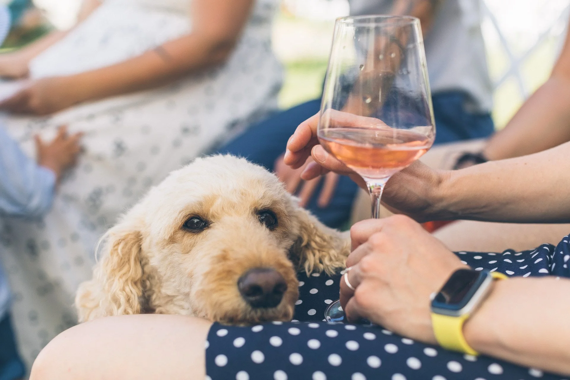 ©MitFedern&Posaunen_Hochzeitsfotos A&F_web-491.jpg