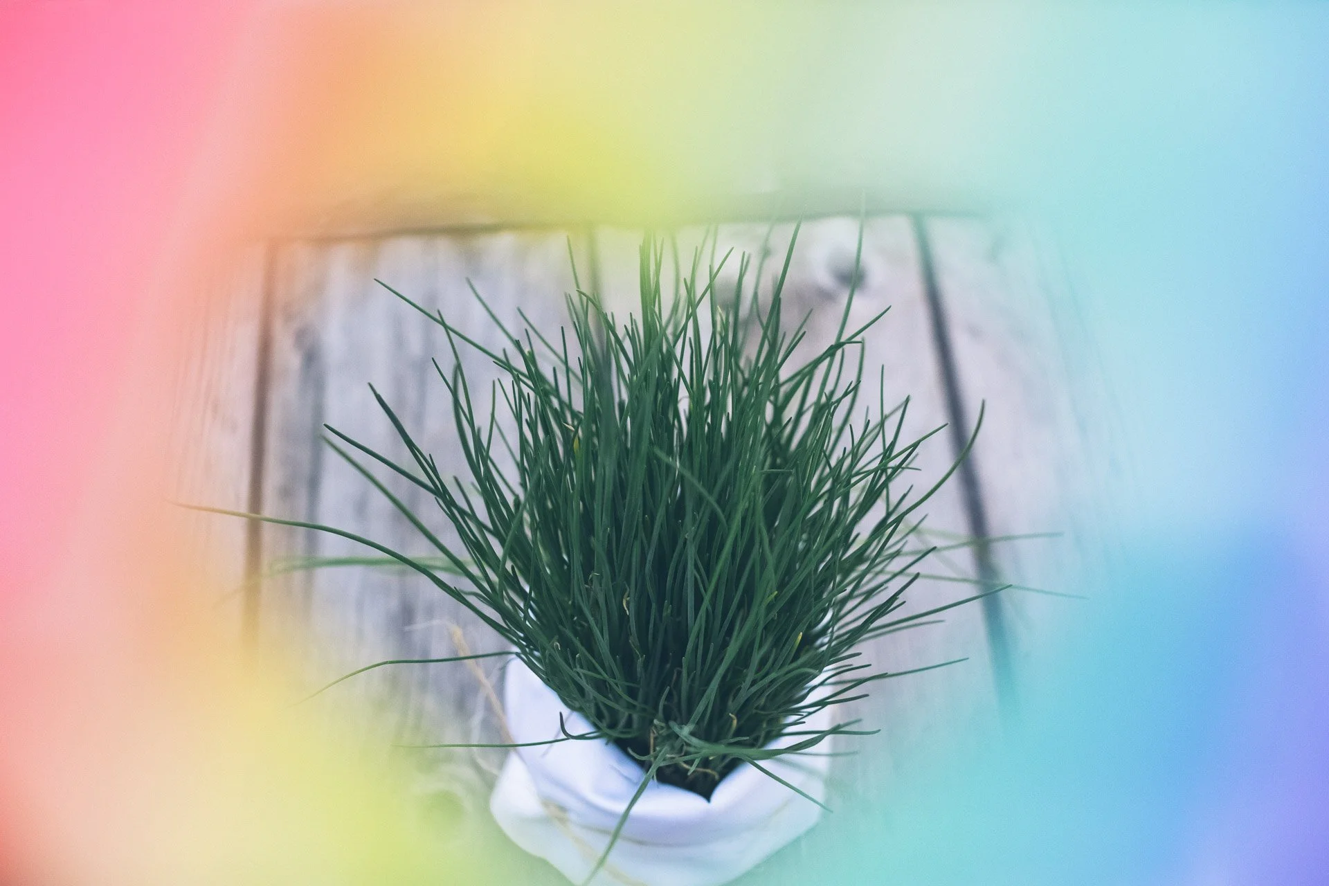 ©MitFedern&Posaunen_Hochzeitsfotos A&F_web-540.jpg