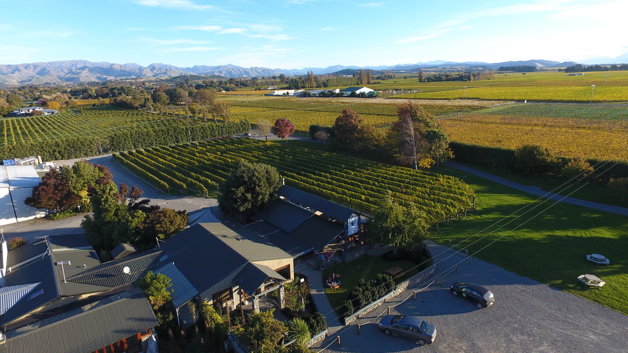 Forrest Winery with the surrounding vineyards in Marlbourough, New Zealand (Photo credit: Forrest wines)