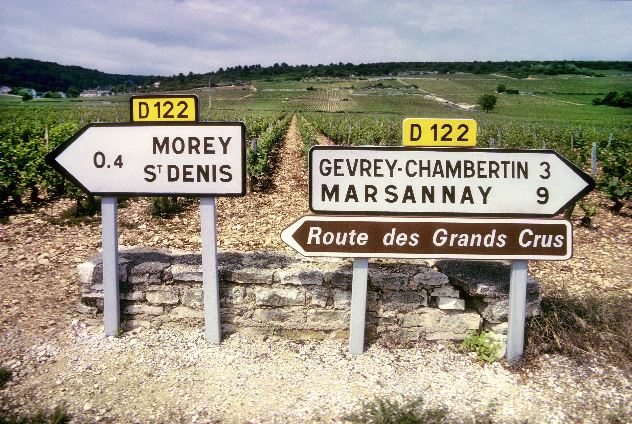 D122 from Dijon into Burgundy's most famous and distinguished appellations (Photo credit: Christian Delbert, Shutterstock)