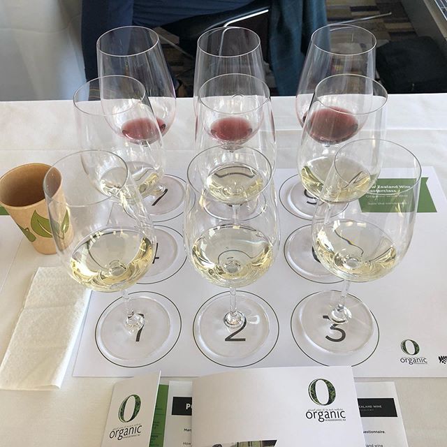 Connecting land, vine, growers and consumers through a sustainable #organicwinegrowing route. Great @organicwinegrowersnz seminar and open discussions with Rudi Bauer @quartzreefwines, Nick Mills @ripponjo, Jack Weaver @churtonwines with added global viticultural insights provided by Lance @vintagerootsltd. On a beautiful autumnal sunny day #london #organicwines @nzwinegrowers #nzwine @nzwineeurope