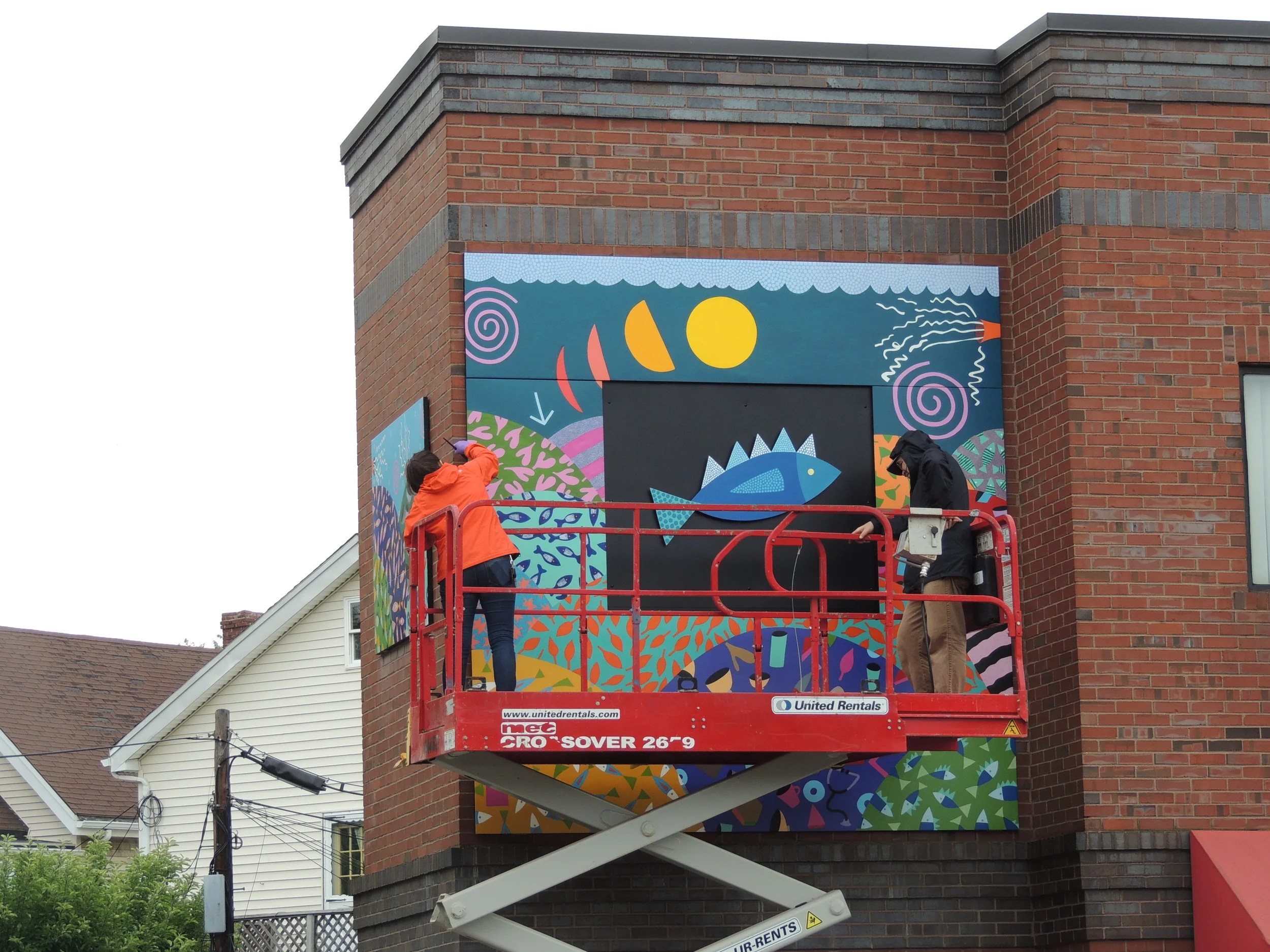 The Bluefish is Back