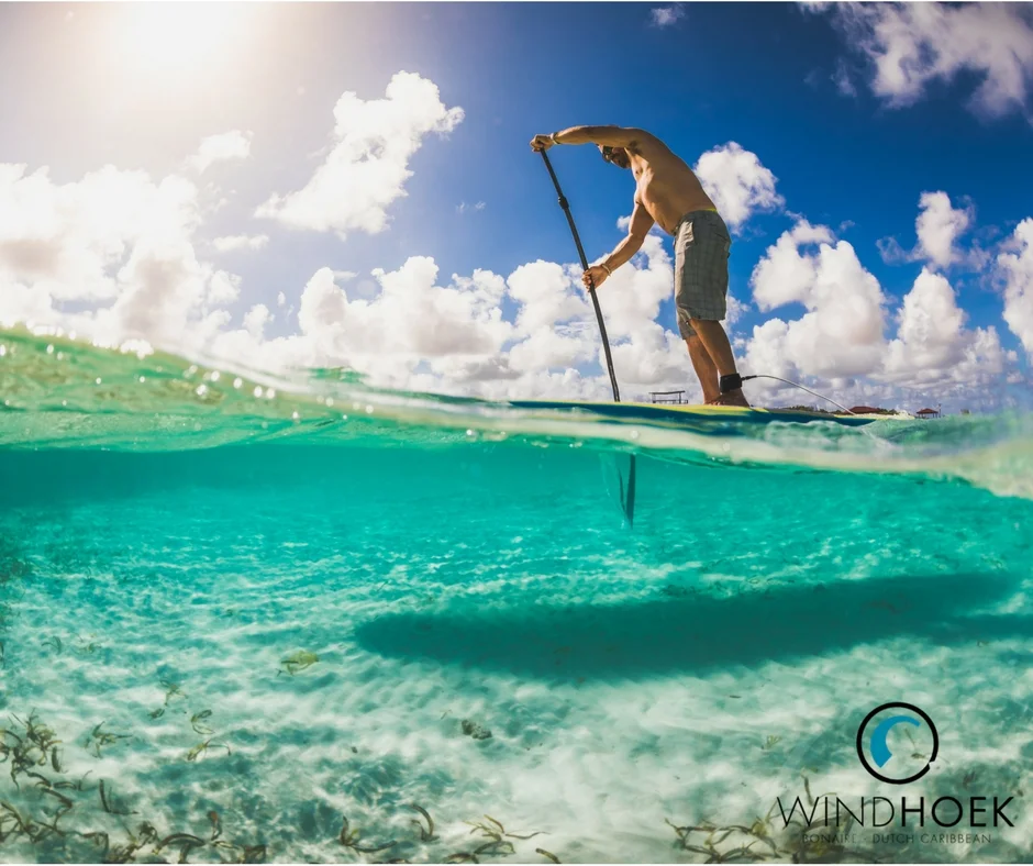 Paddling Sorobon into the mangroves. 