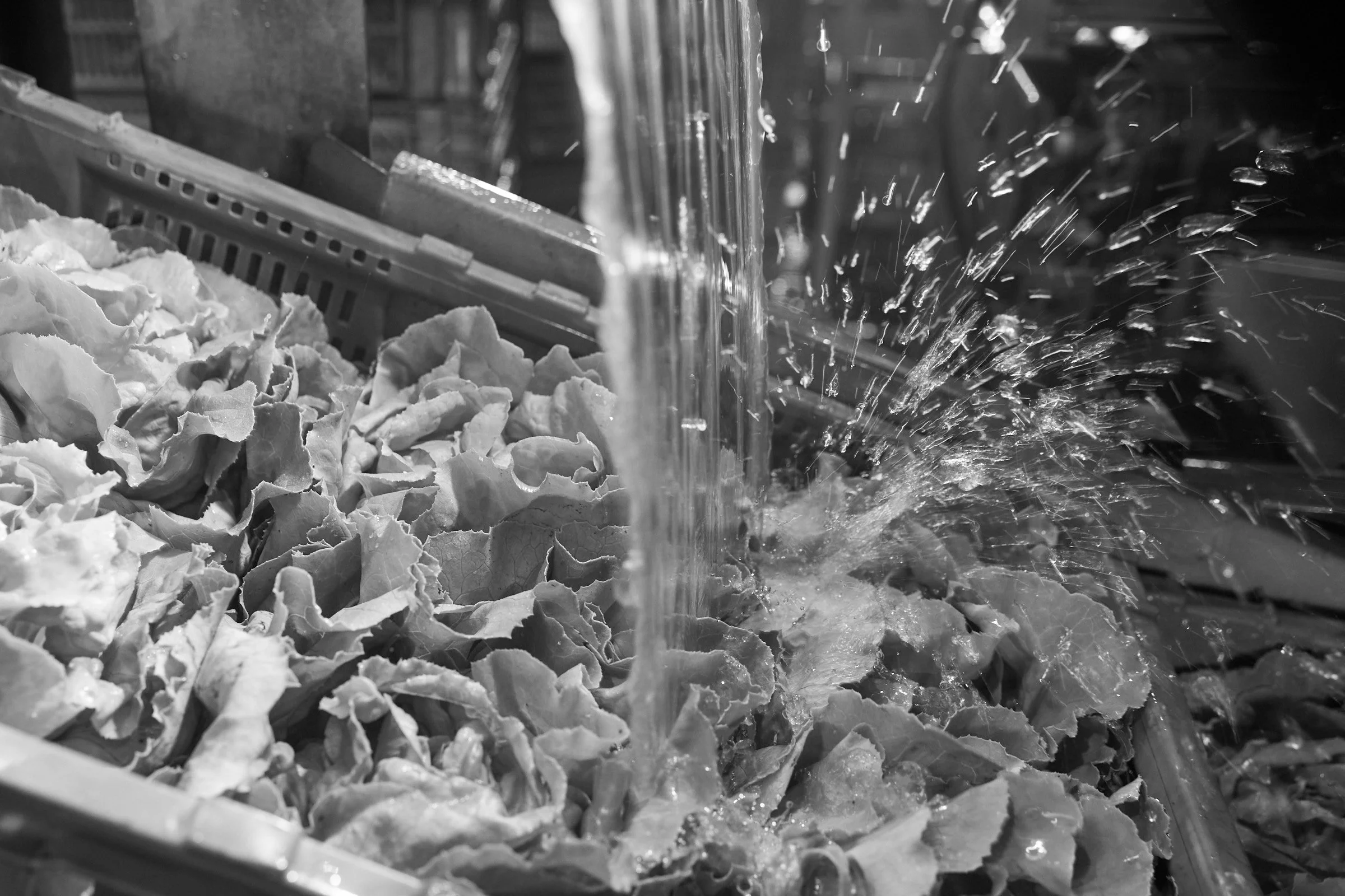 ￼Wyssa 20-06-11 0271.jpg