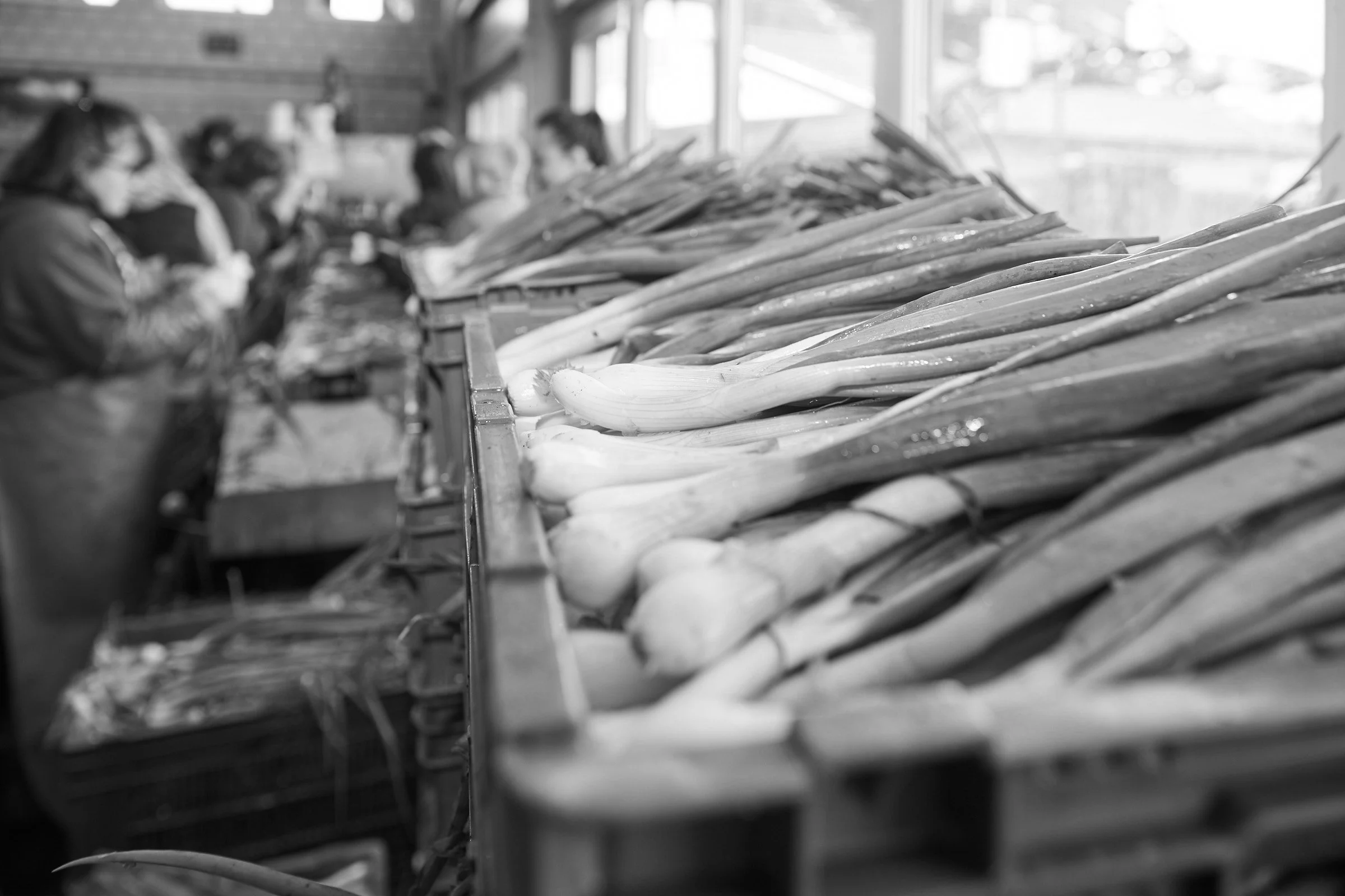 ￼Wyssa 20-06-11 0133.jpg