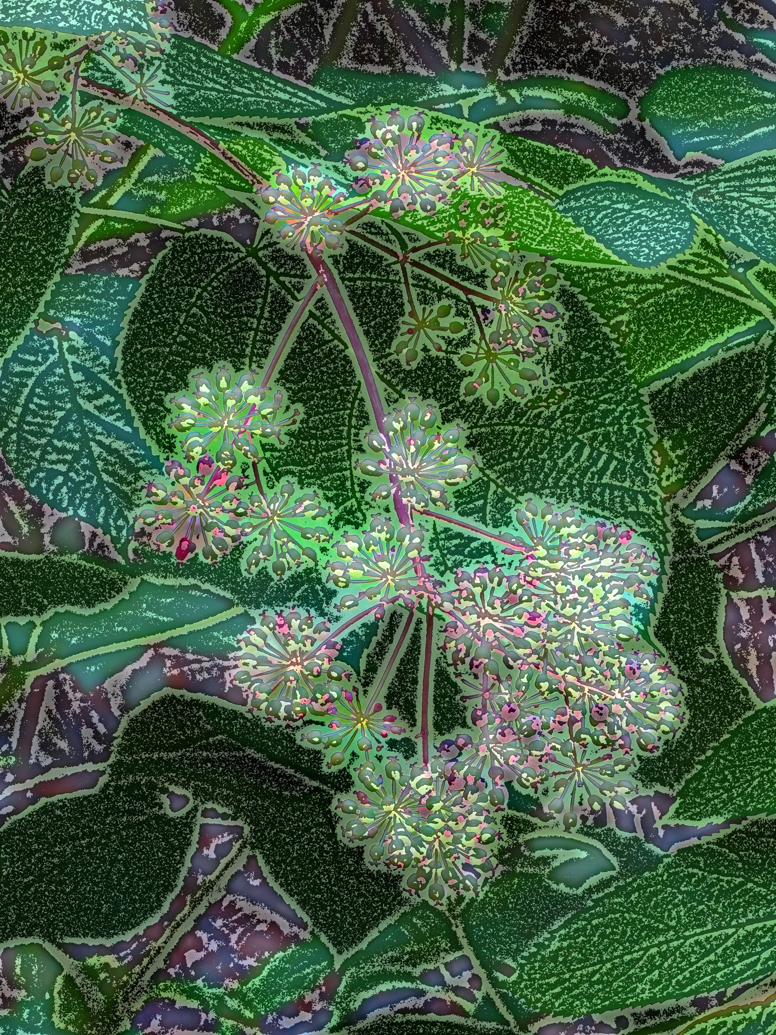 A title can go here if you want