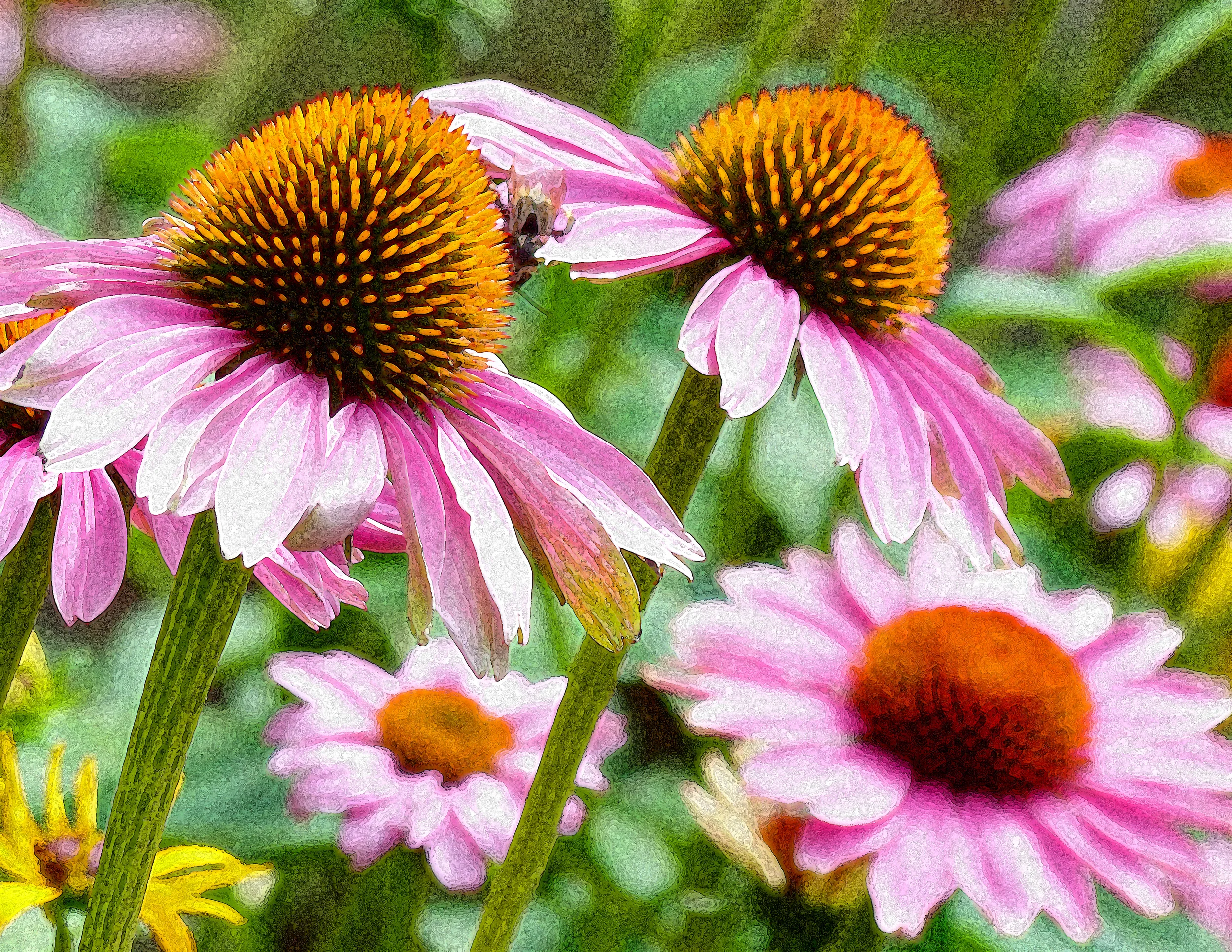 P1000013A.jpg