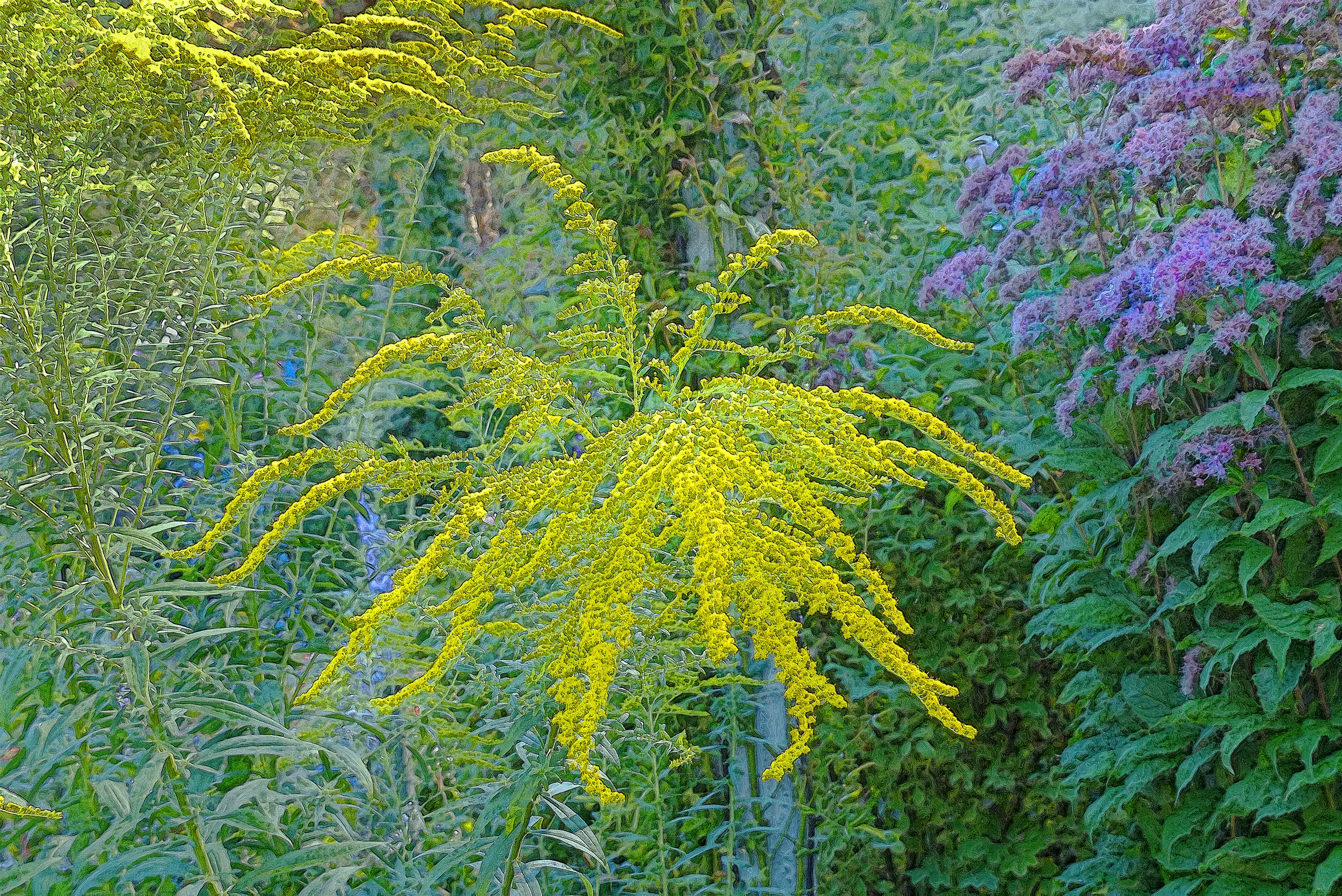 P1000307A.jpg