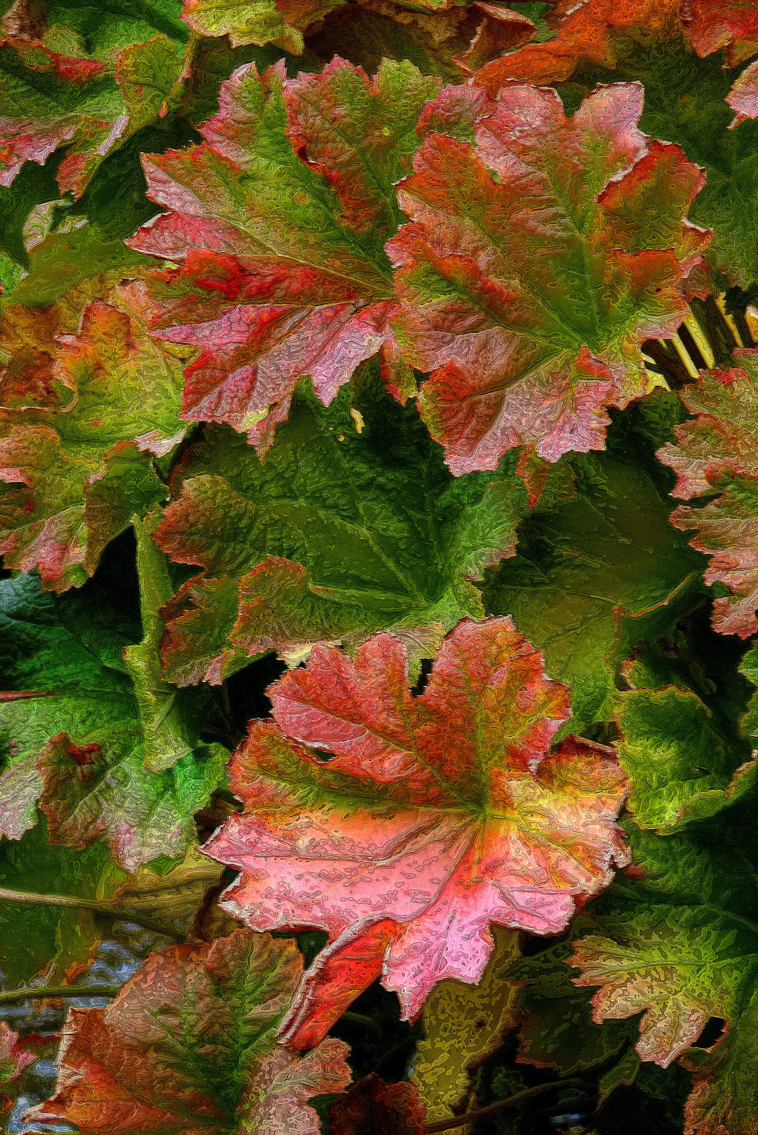 P1000562A.jpg