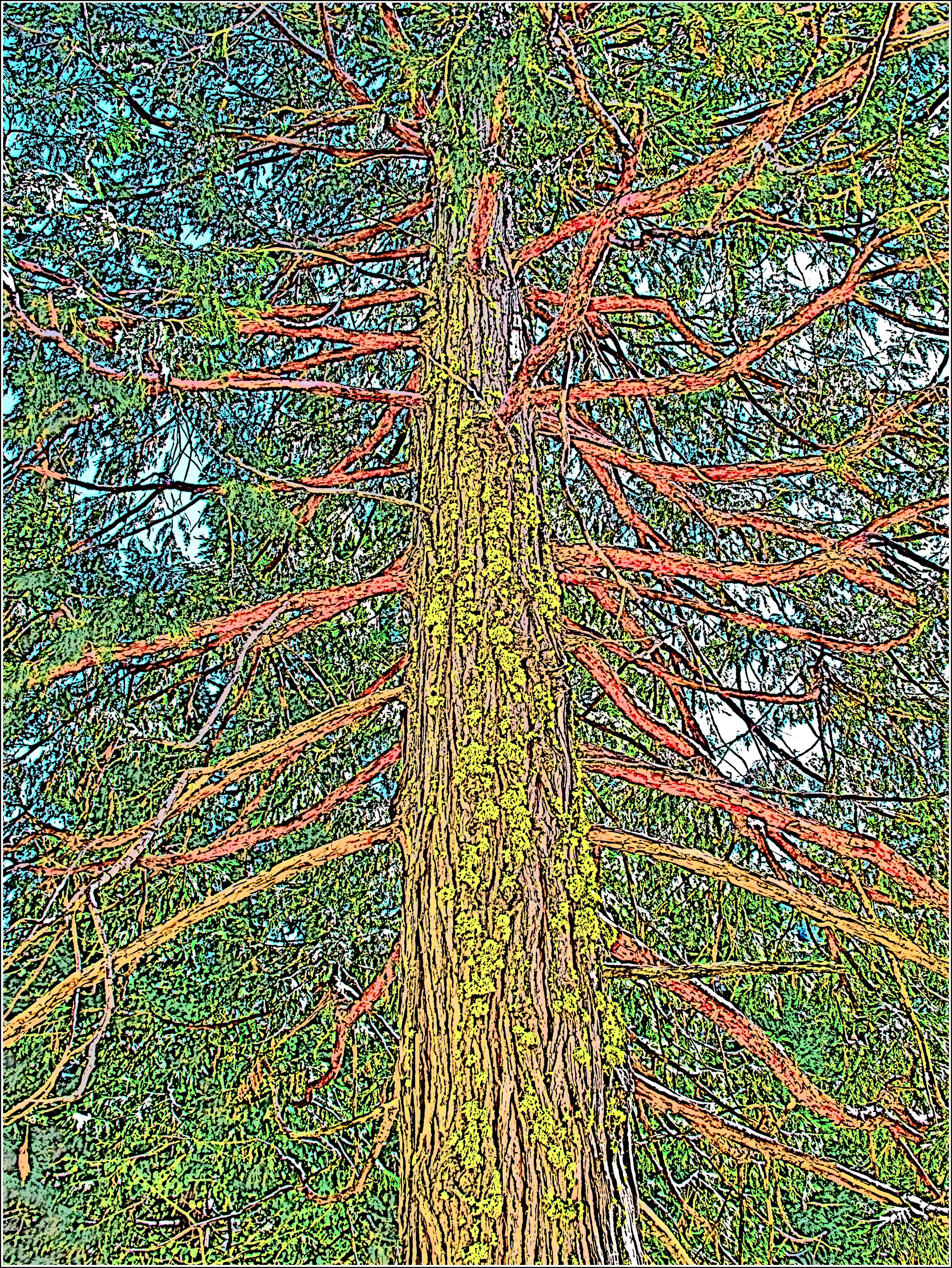 IMG_3122A 22oct2012.jpg