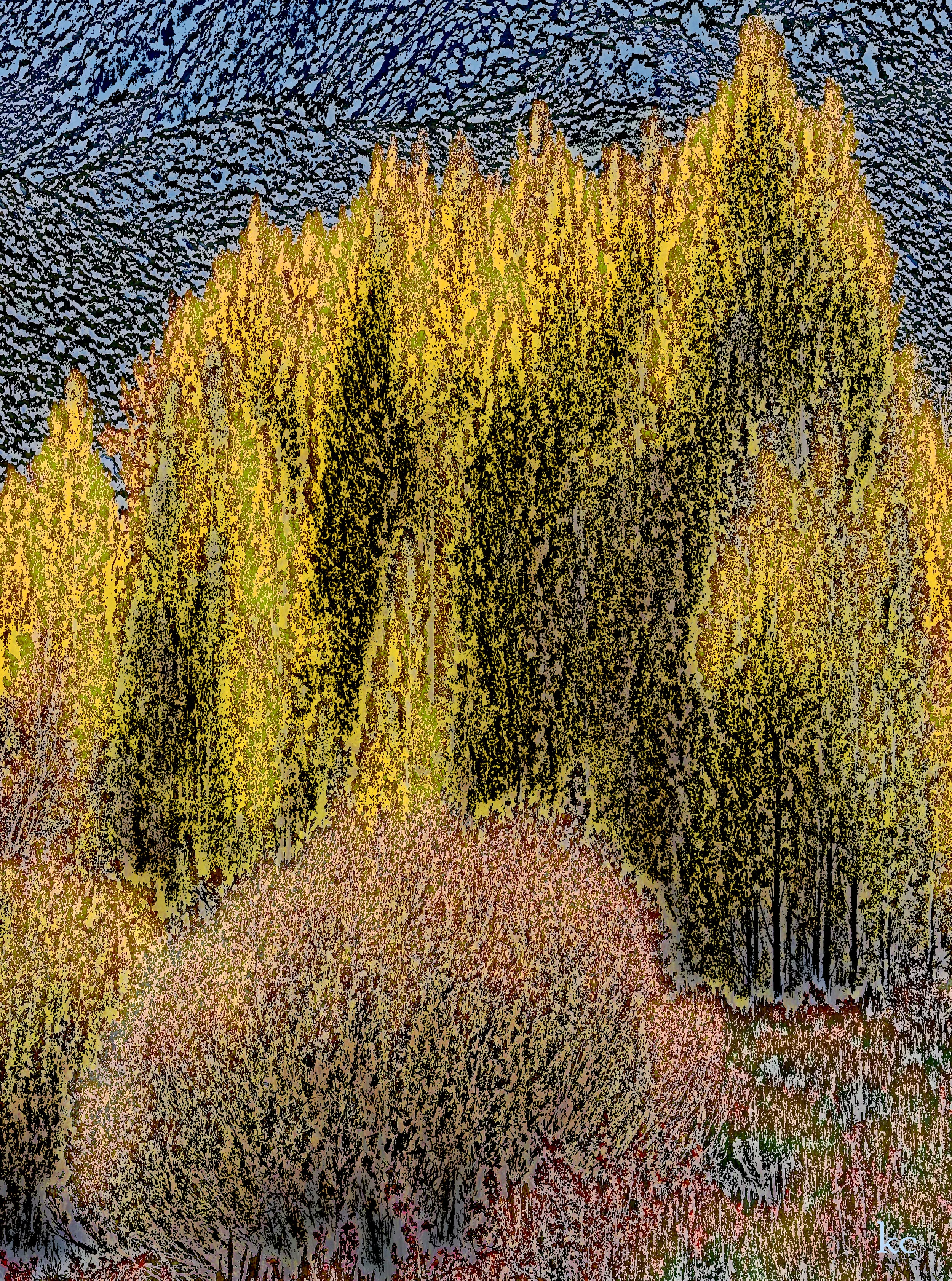 P1000729A.jpg