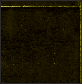 DIP_9&Frühling_web09.png