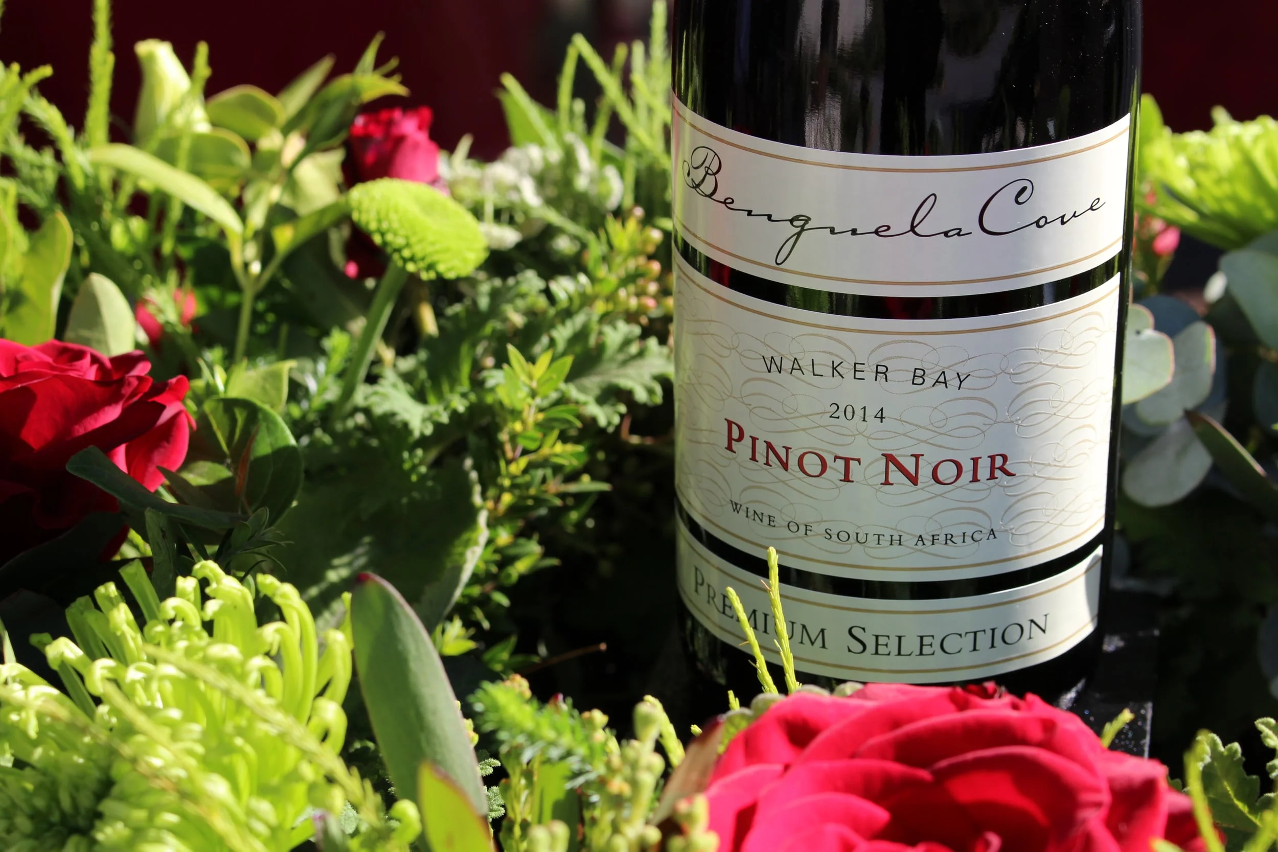 Gallery Benguela Cove