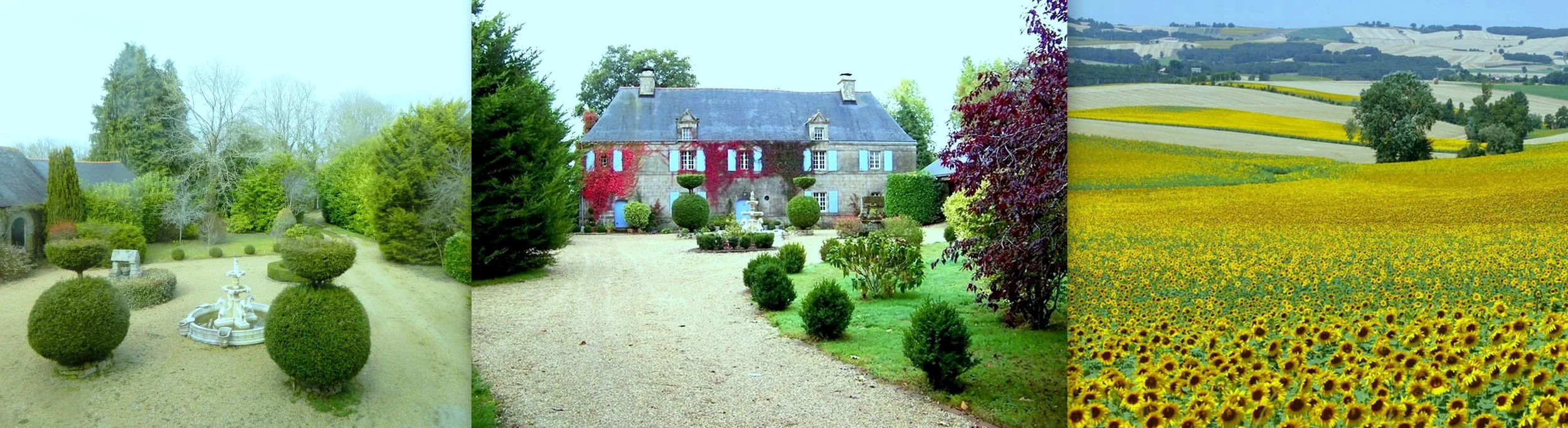 Maison Front Bluer.jpg