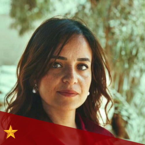 Aya Mohamed Abdelsalam 
