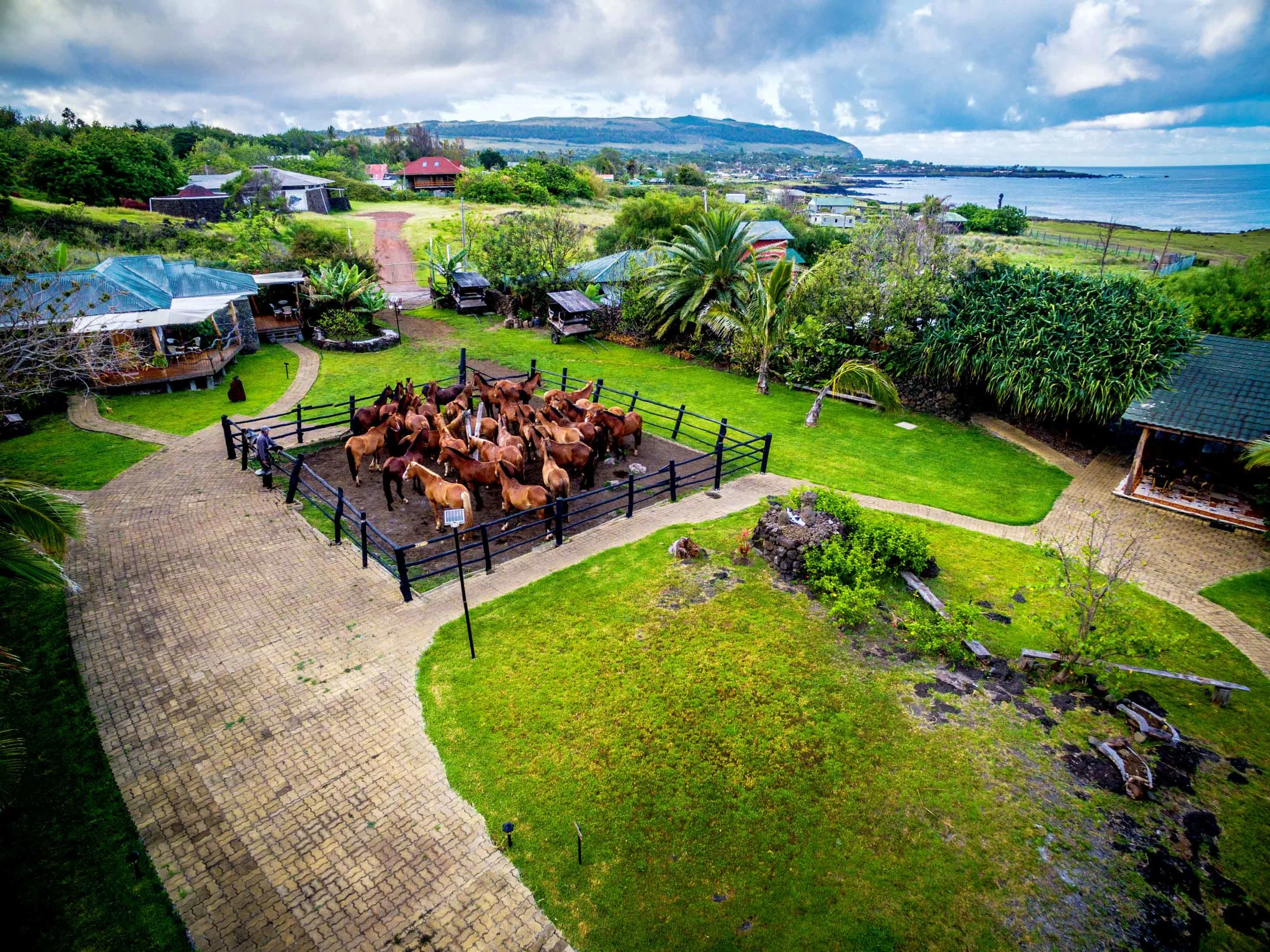 CABALGATAS PANTU -ALOJAMIENTO ISLA DE PASCUA