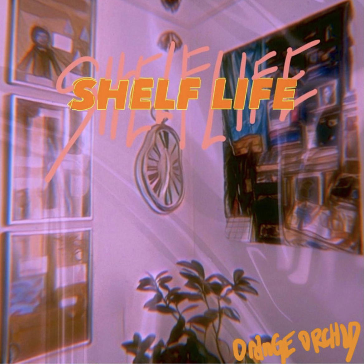 Orange Orchid - Shelf Life