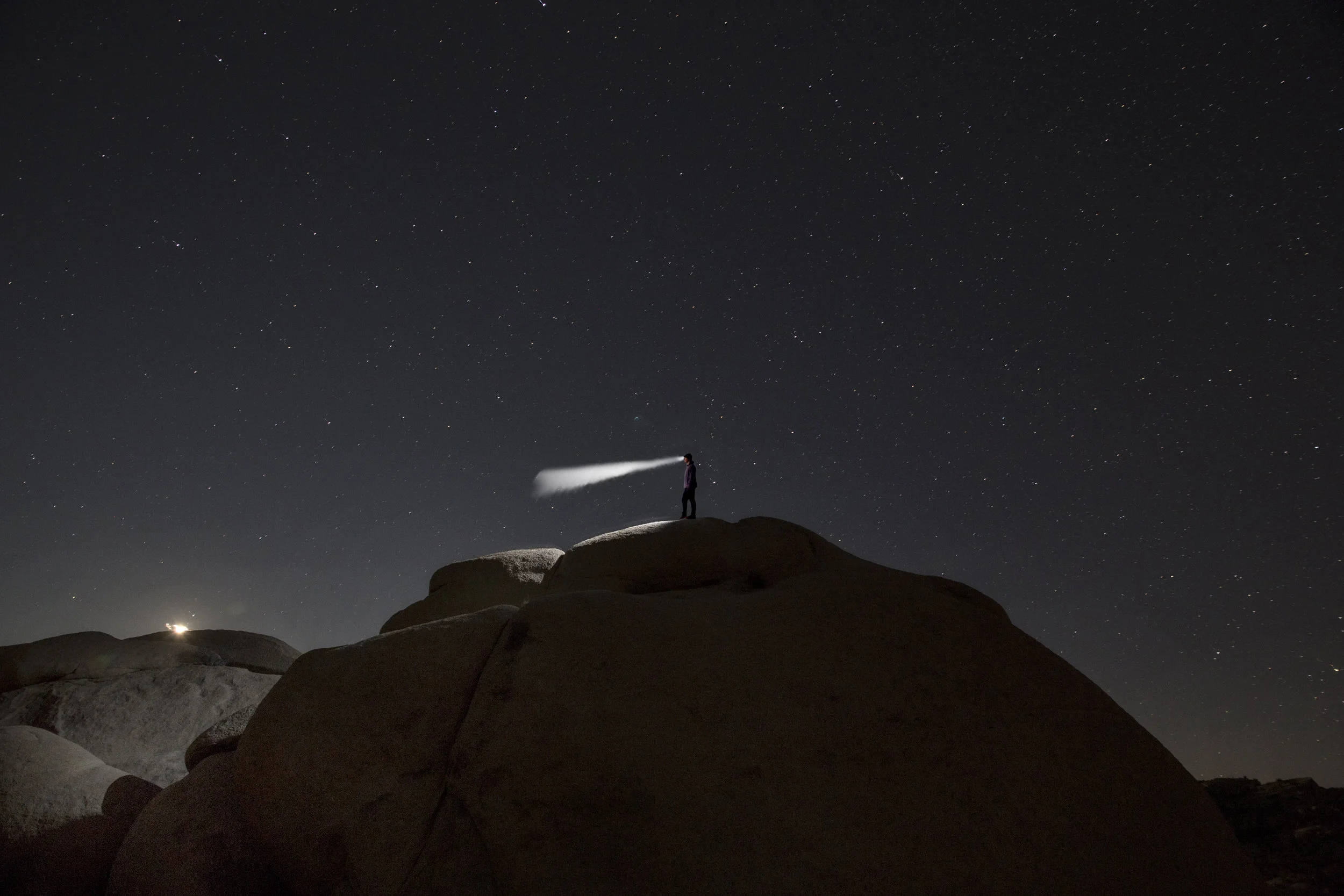 JoshuaTree.jpg